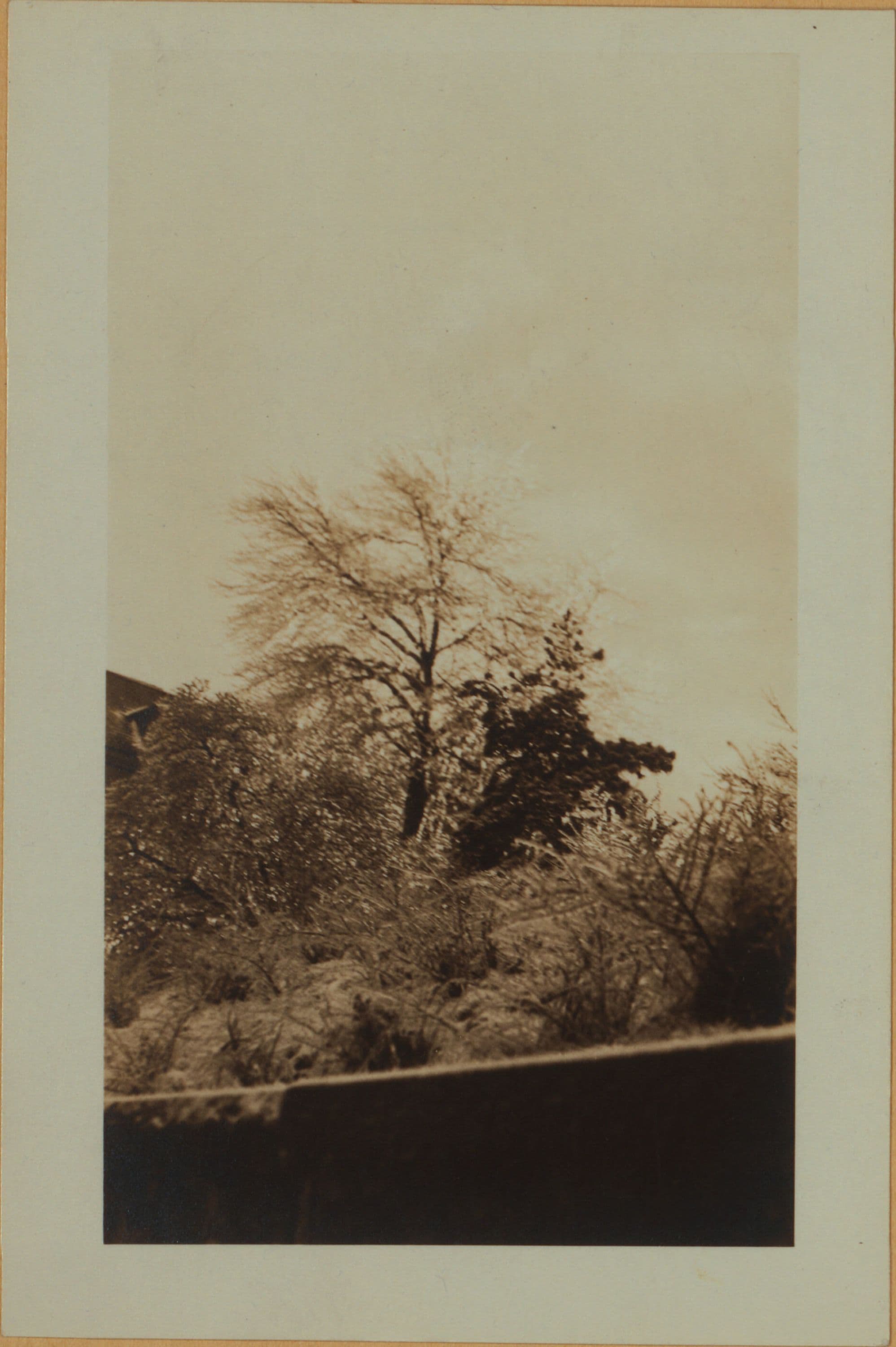 Richmond: Sherman Avenue - Hendricks Avenue