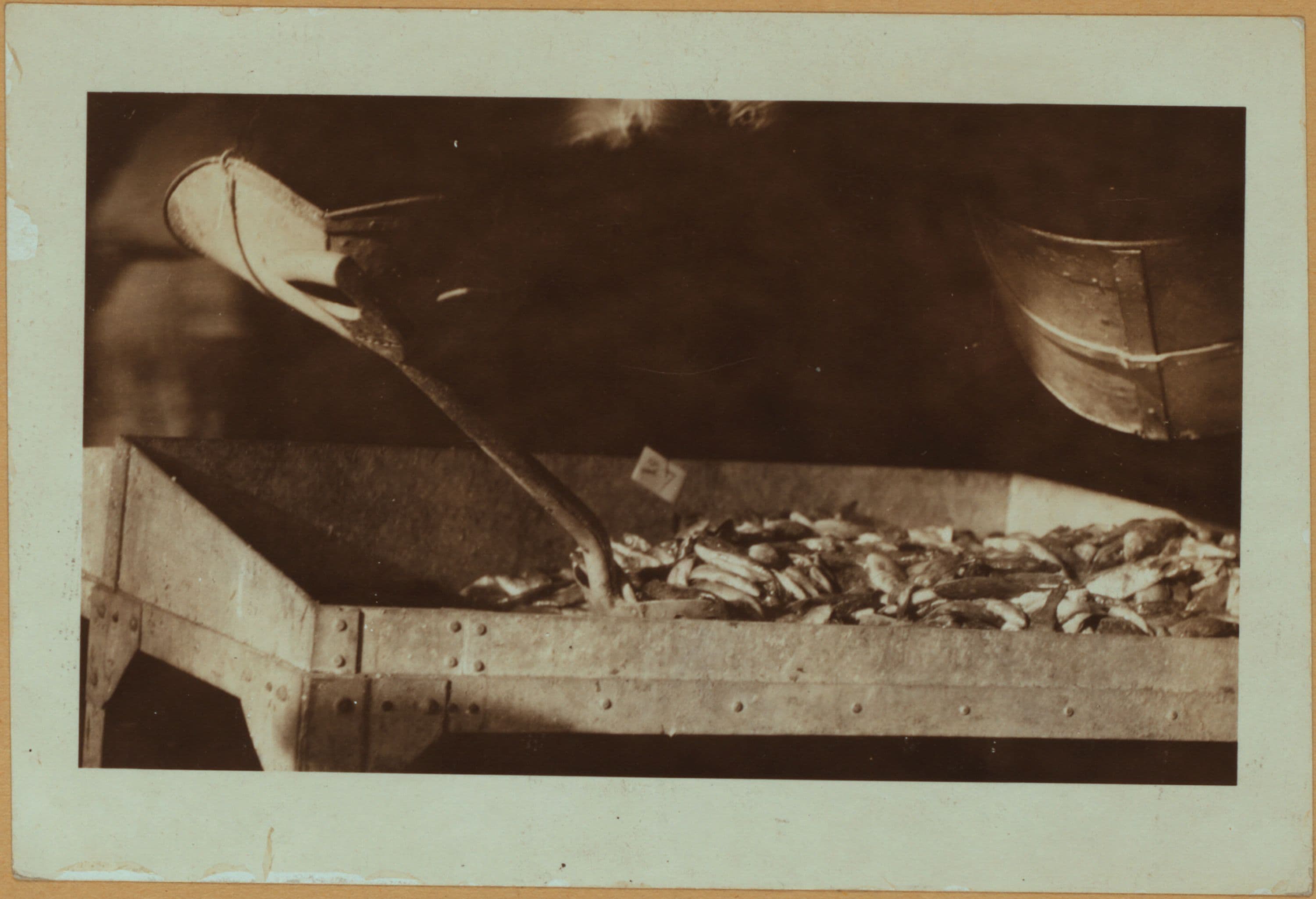 Fulton fish market - [Market building on South Street.]