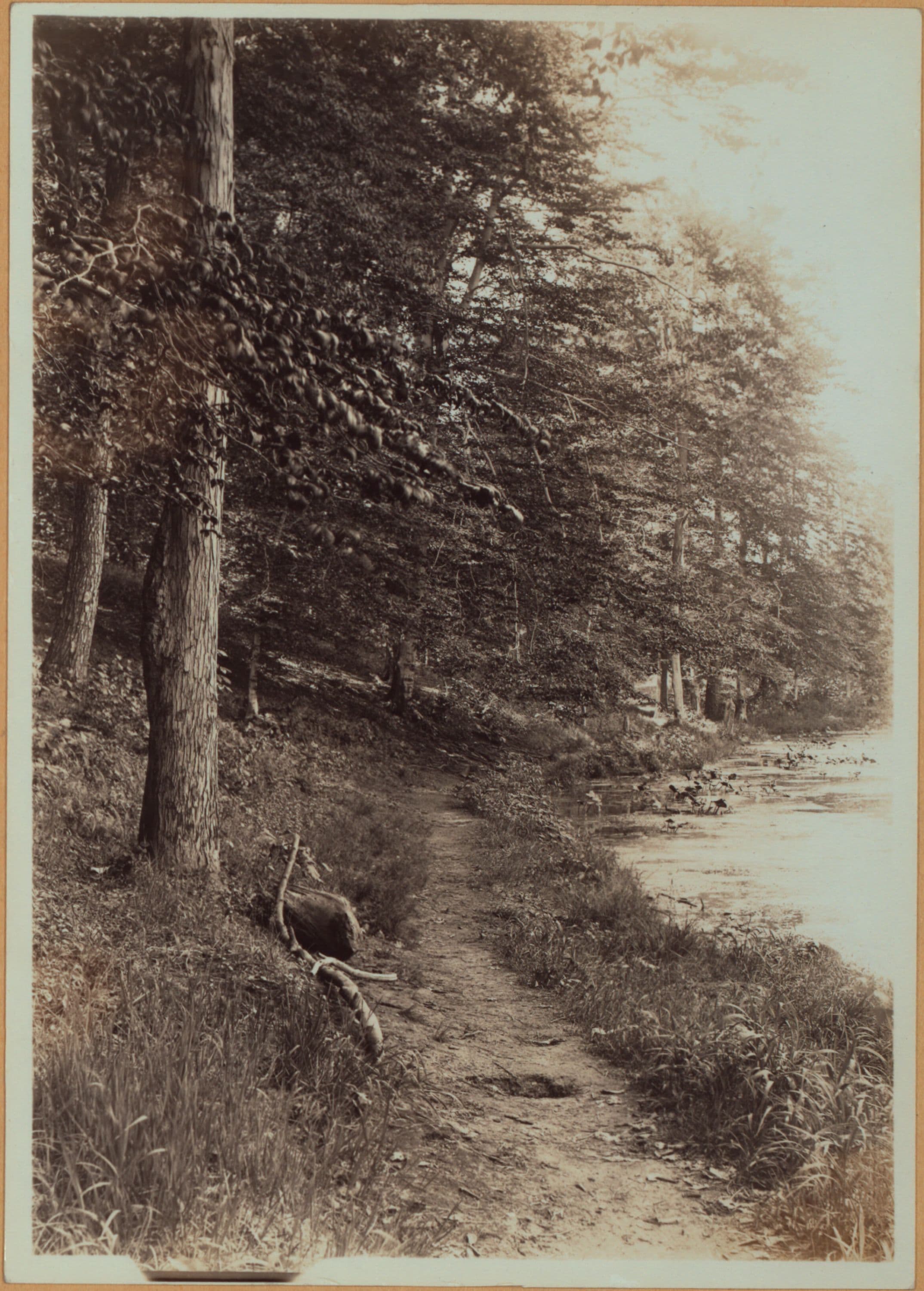 Richmond:] Staten Island - Clove Lakes Park - [View of walk path skirting Clove Lake.