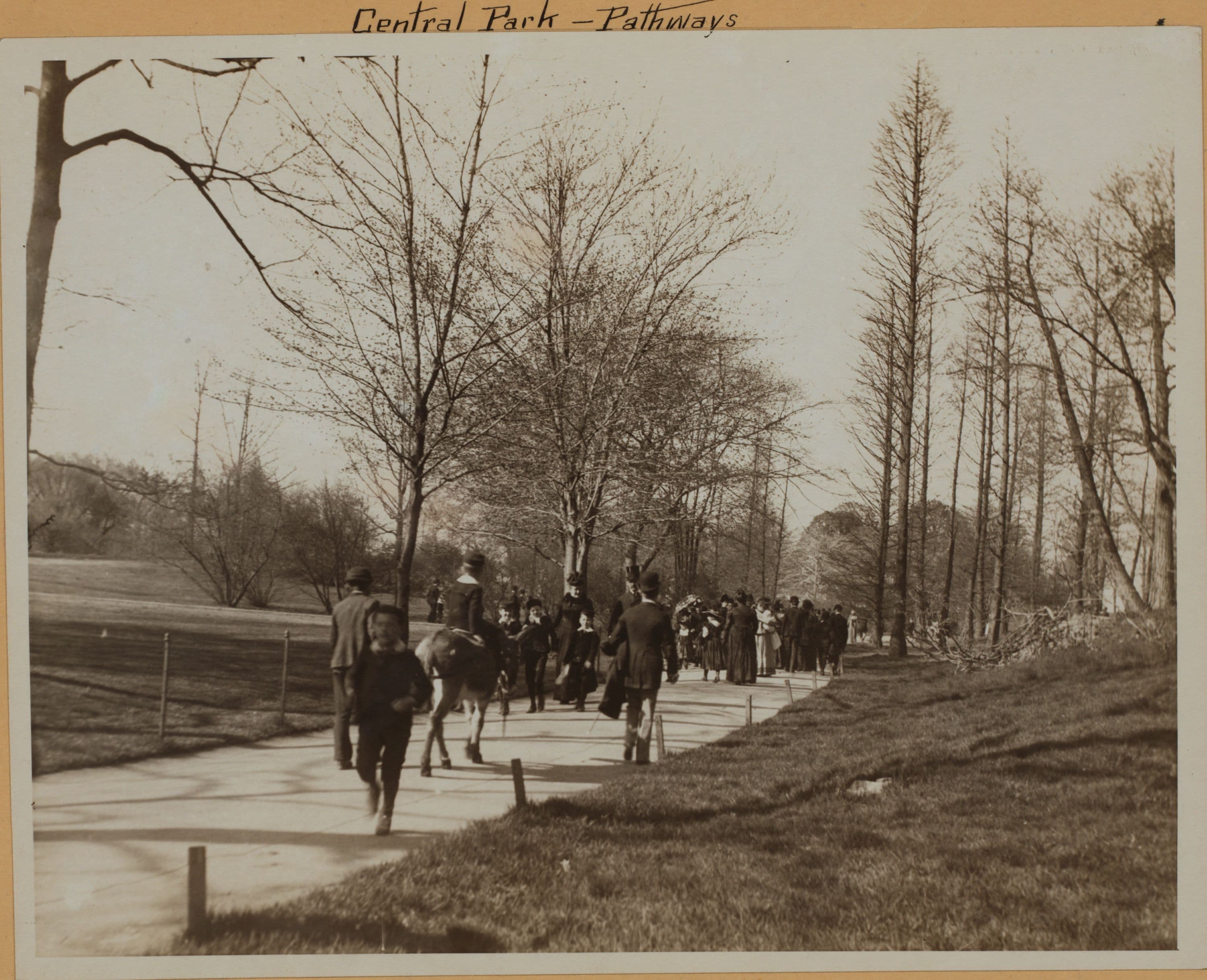 Manhattan: Central Park - Pathways - [The donkey-walk.]
