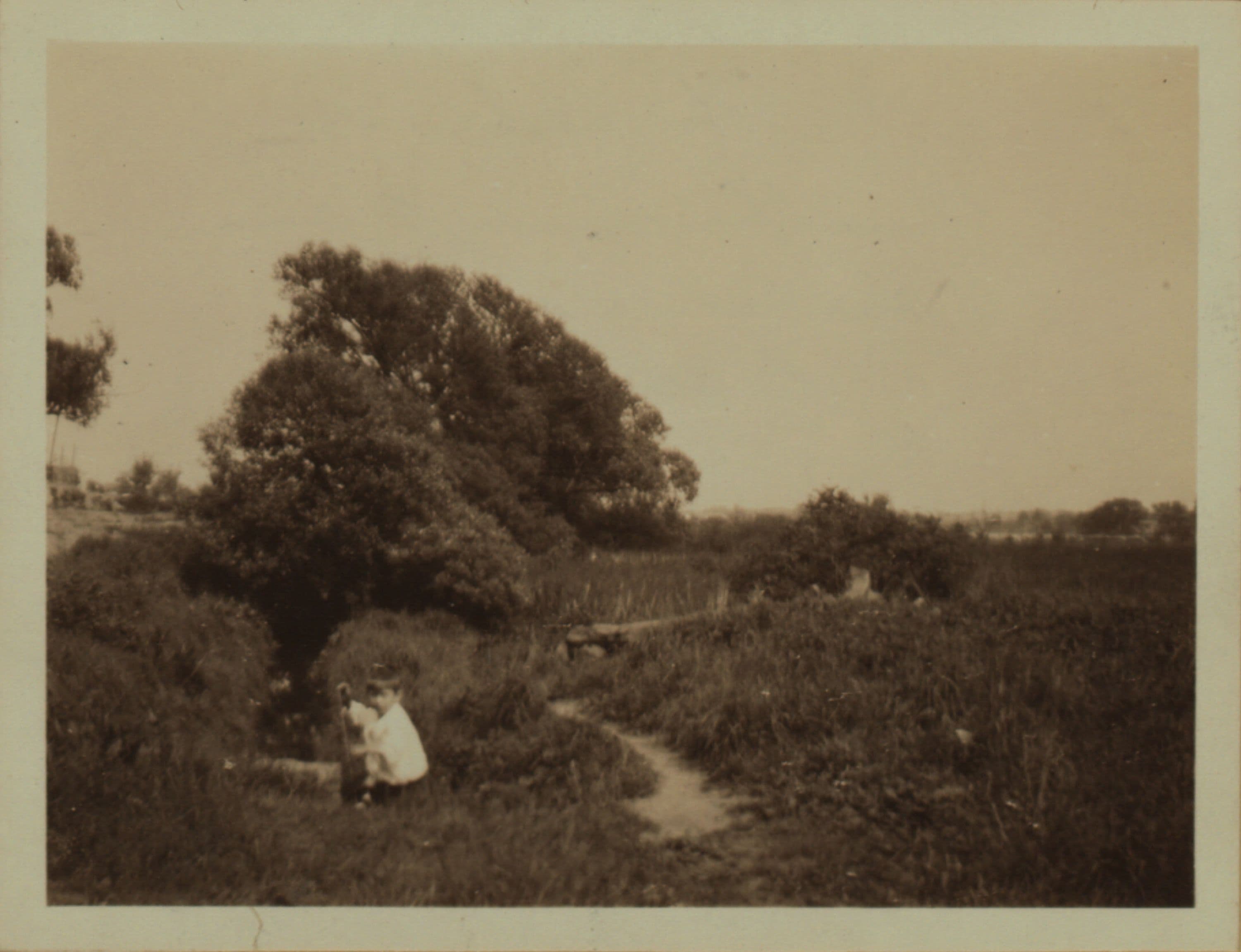 Horse Brook - Queens - [56th Avenue - Between Justice Avenue and Queens Boulevard.]