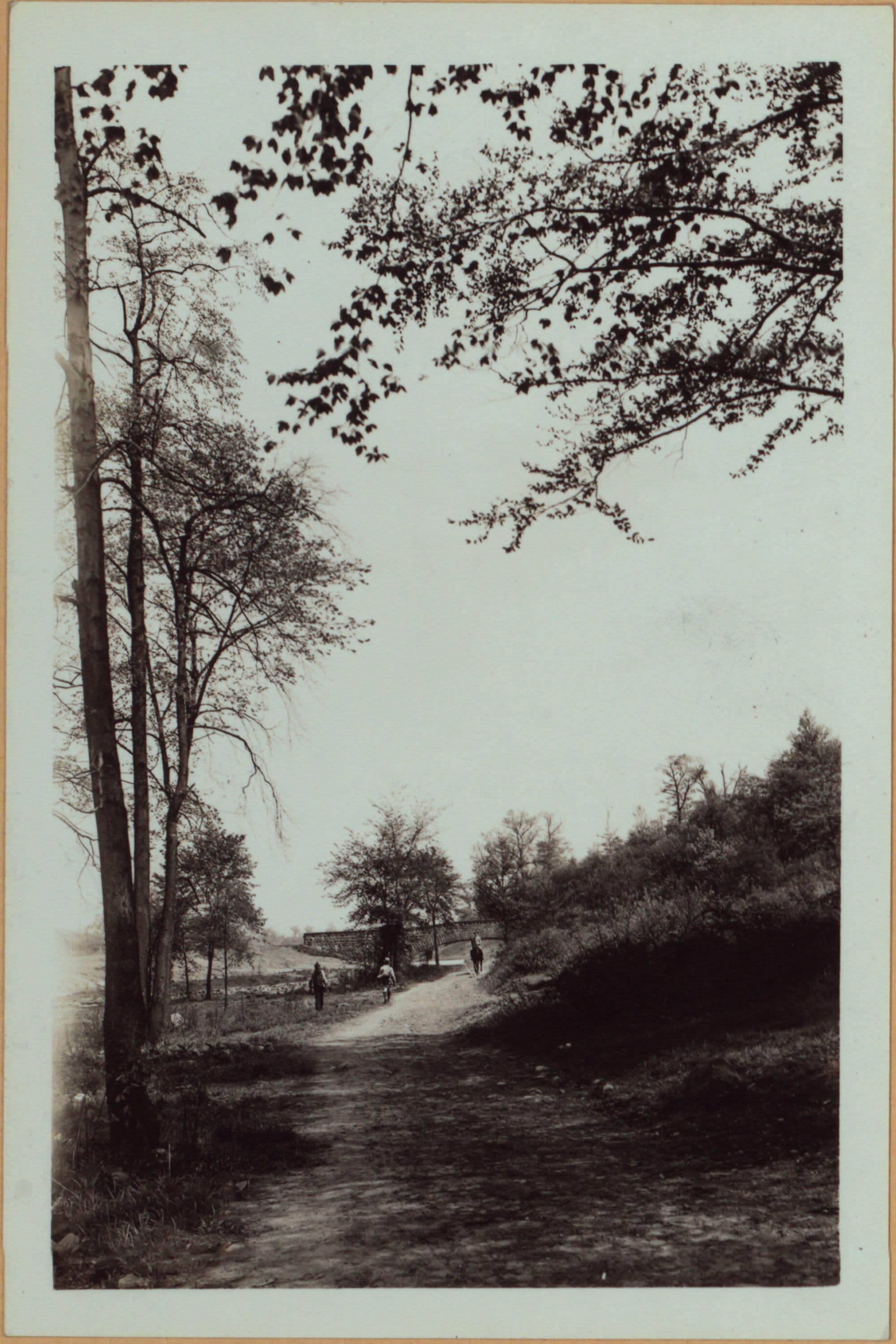 Richmond: [Staten Island] - Clove Lakes Park - Bridle path.