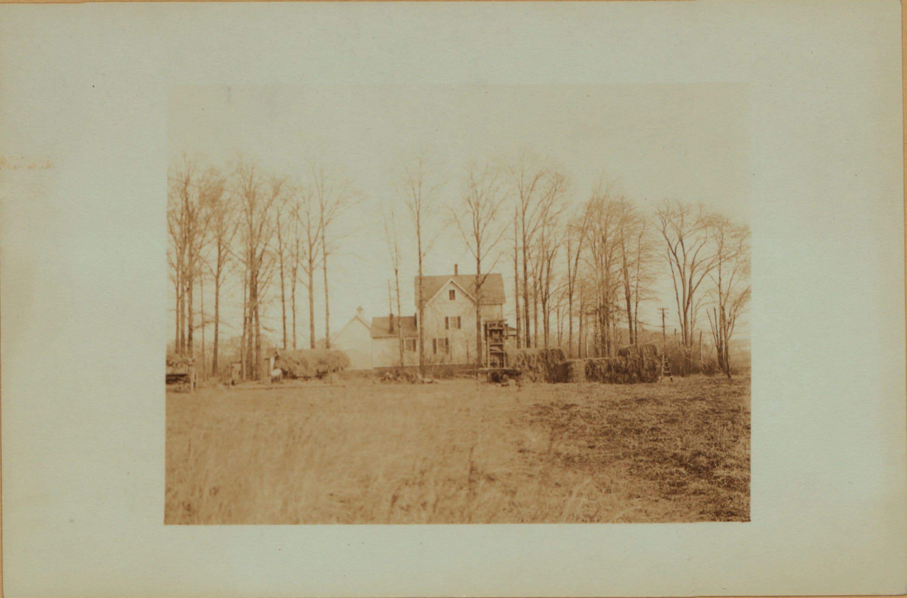 Richmond: Travis Avenue - Richmond Avenue