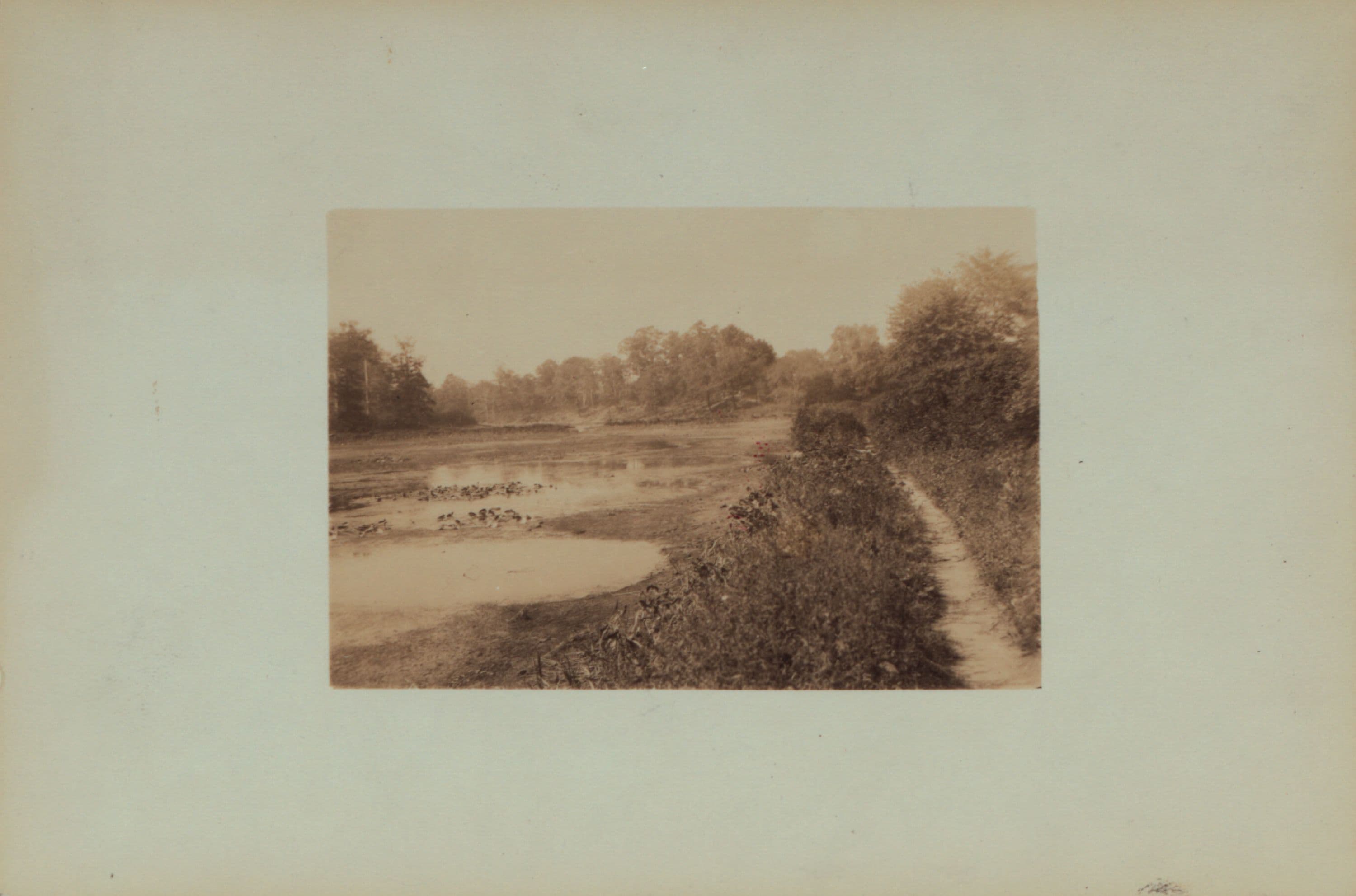 Richmond:] Staten Island - Clove Lakes Park - Clove Lake.