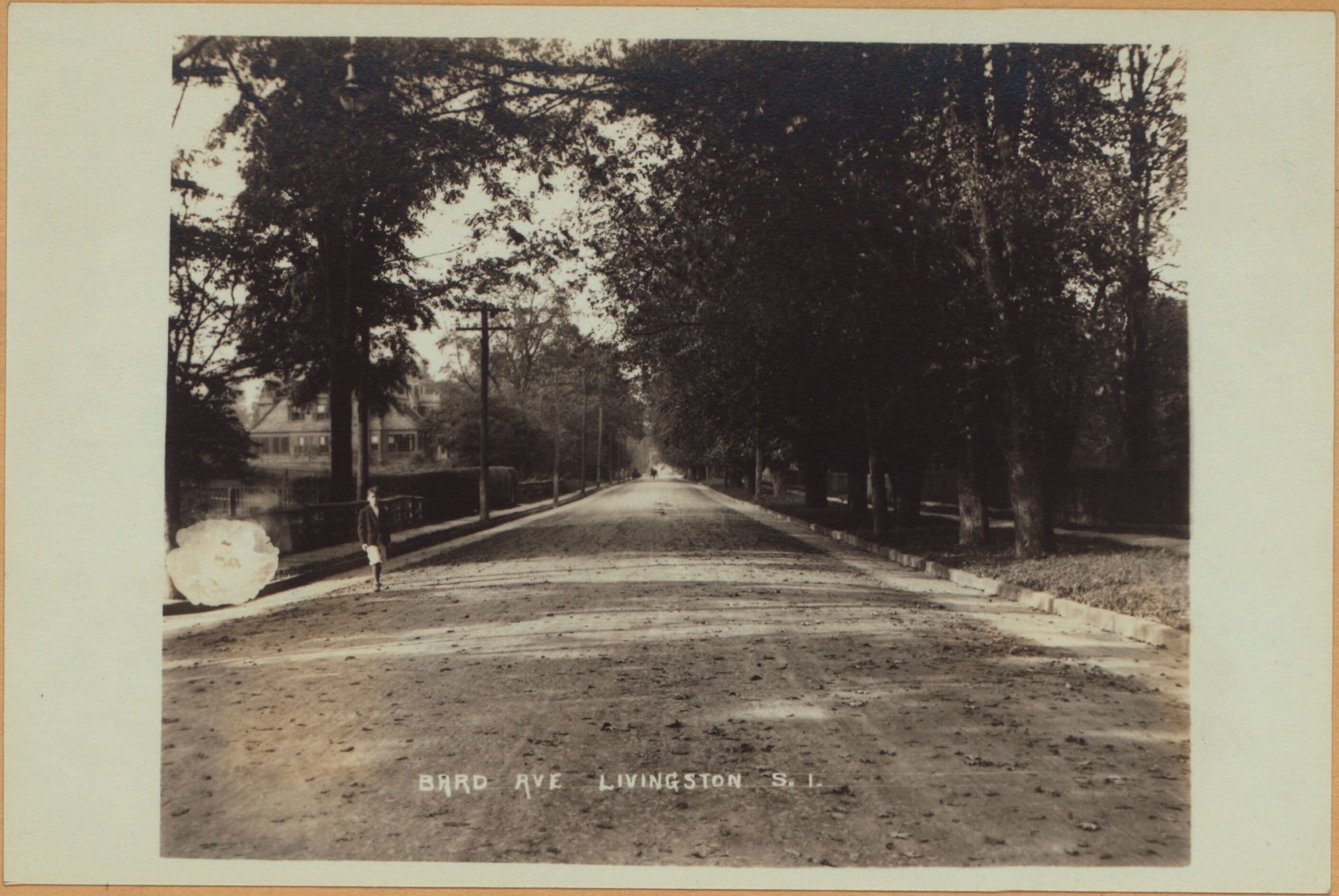 Richmond: Bard Avenue - Harvest Avenue