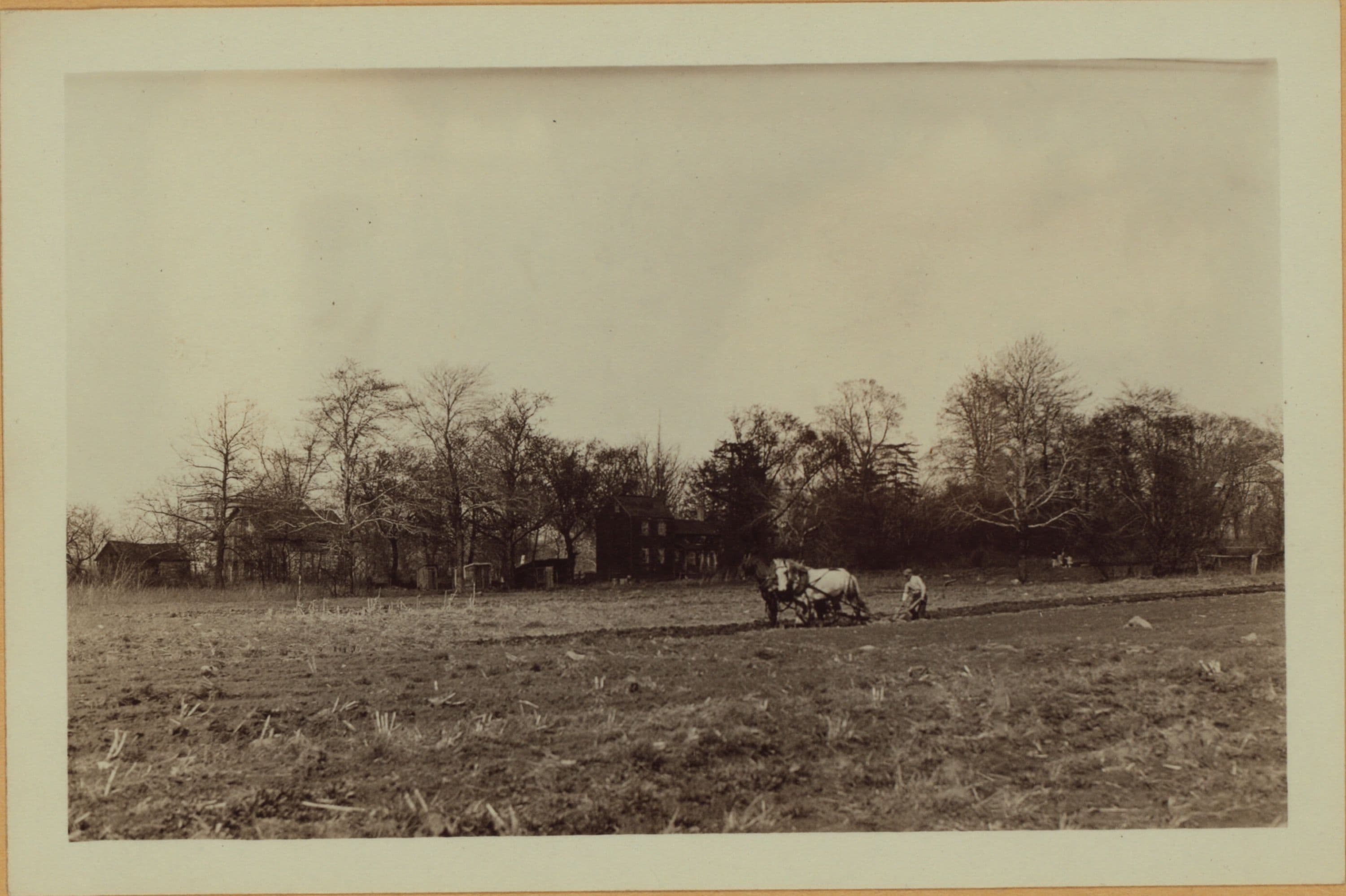 Richmond: Hall Avenue - Willowbrook Road