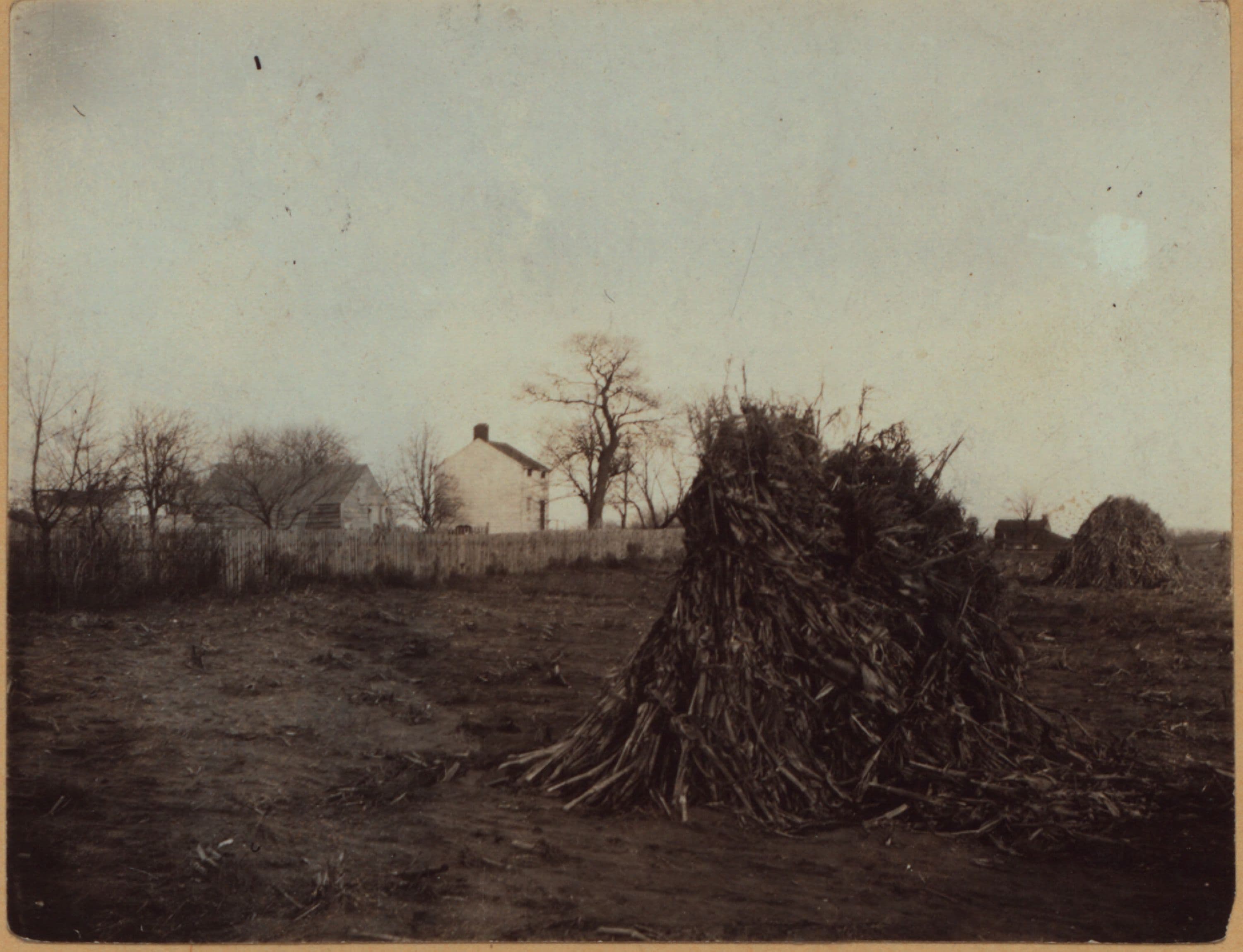 Queens: Pitkin Avenue - 88th Street