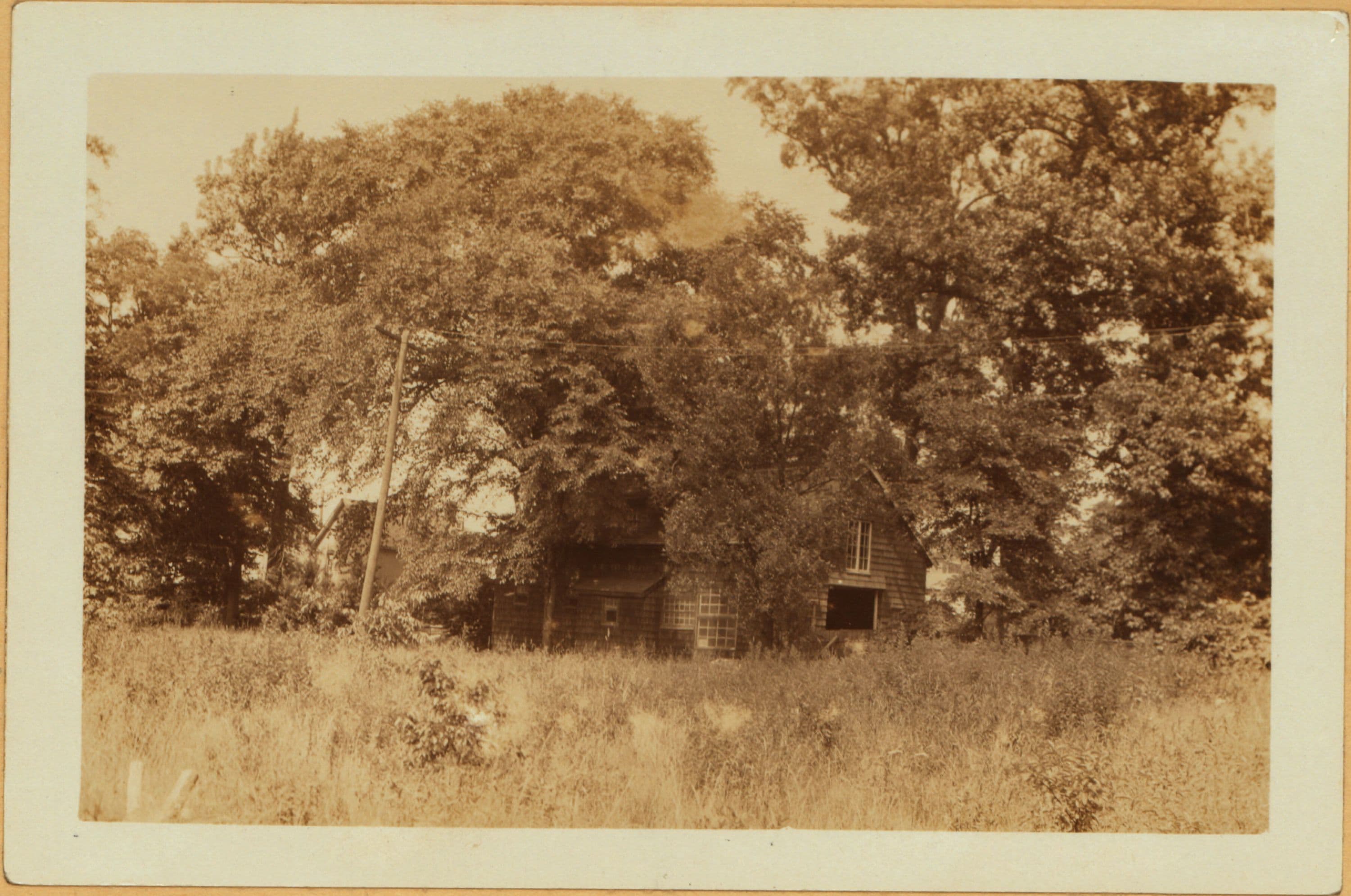 Bronx: Reed Place - Country Club Road