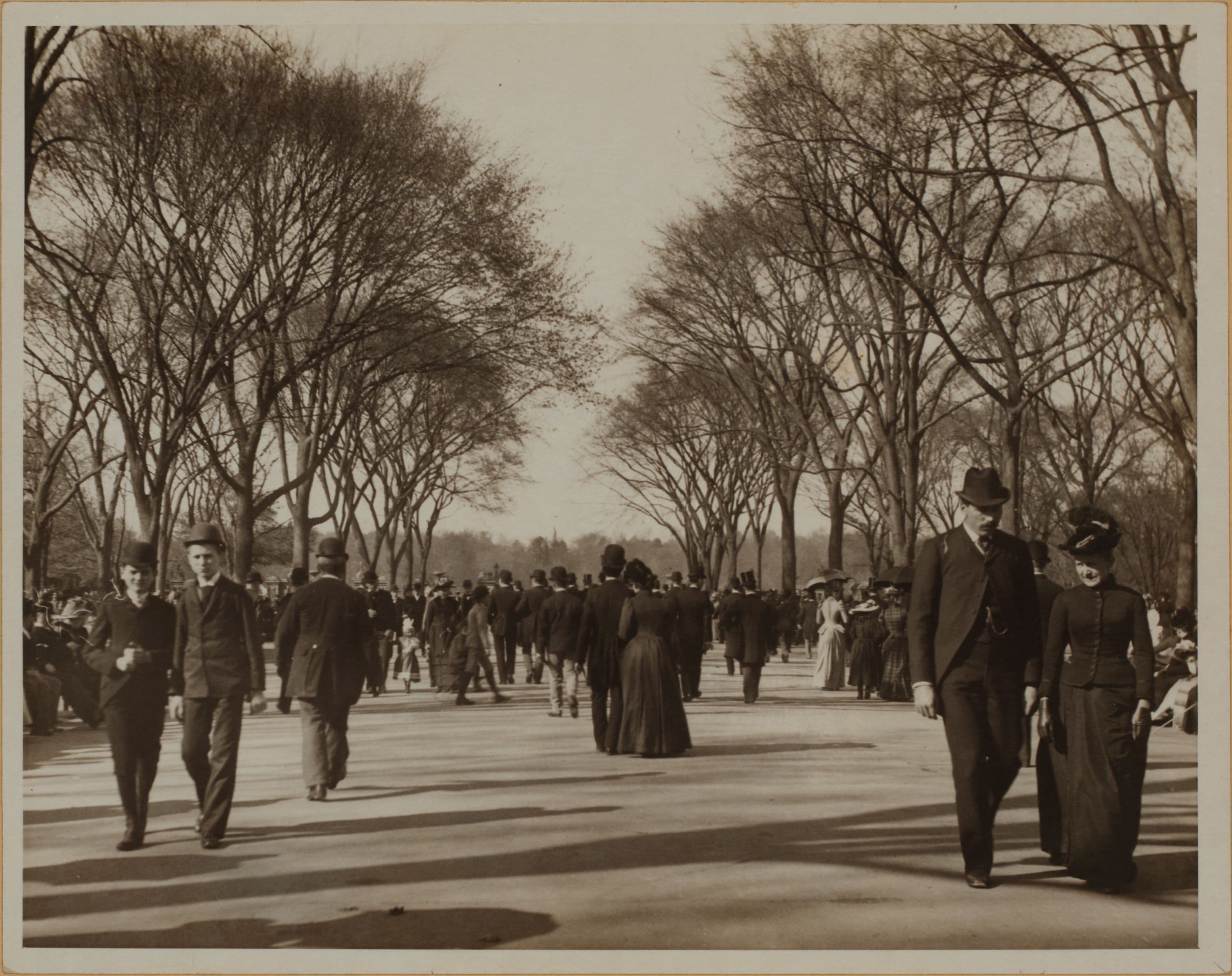 Manhattan: Central Park - The Mall.