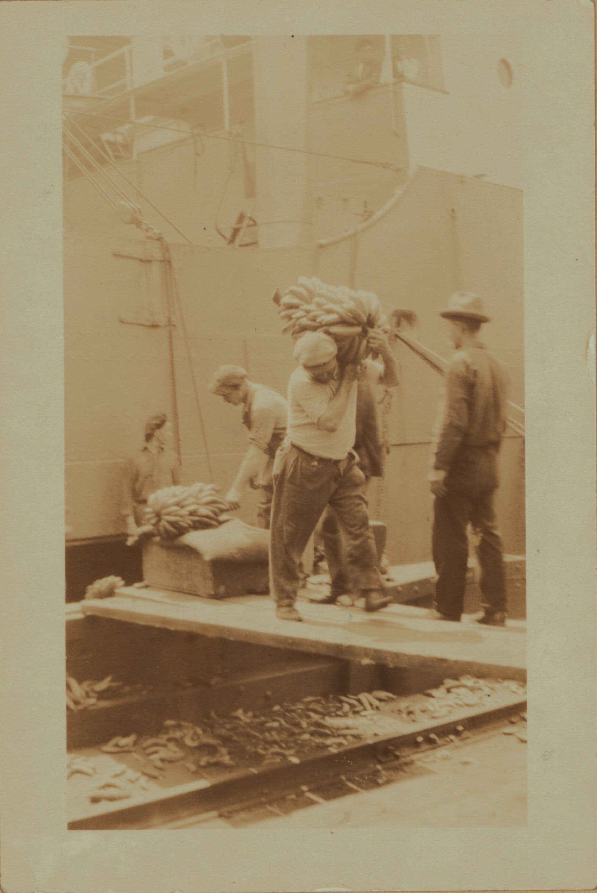 Workmen and laborers - [Unloading bananas on the East River Pier No. 16 - United Fruit Company - S.S. Yoro.]