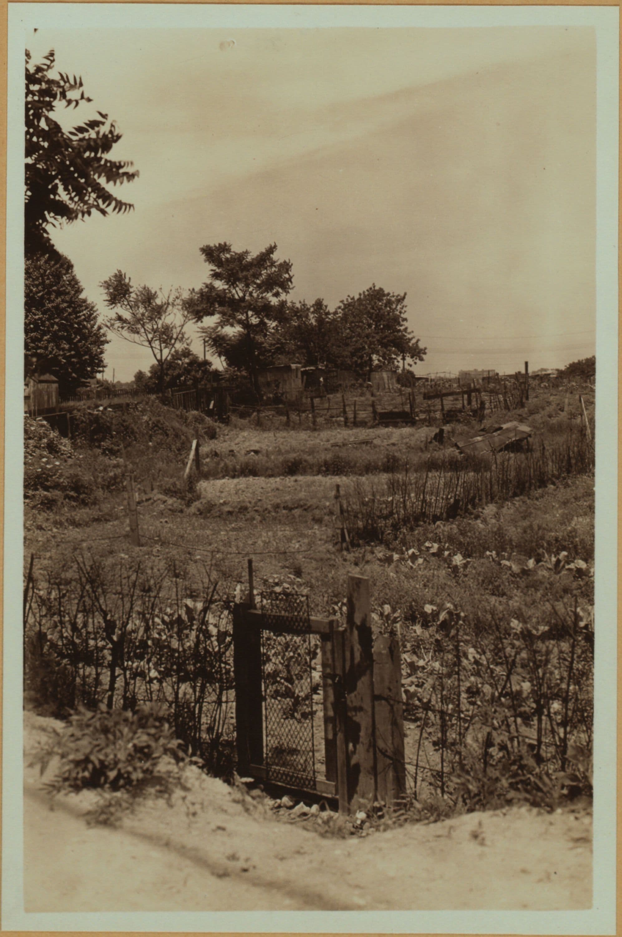 Farming - Queens.