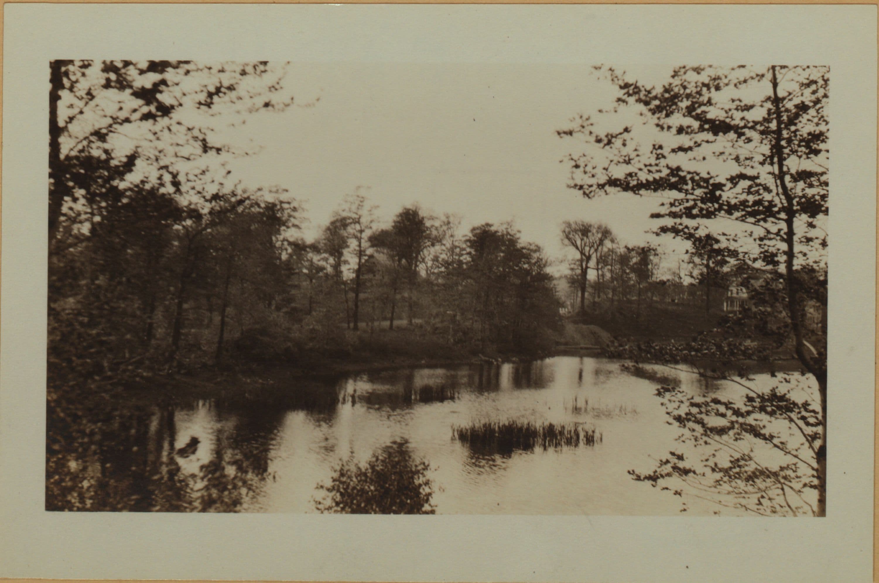 Cameron Lake - Staten Island