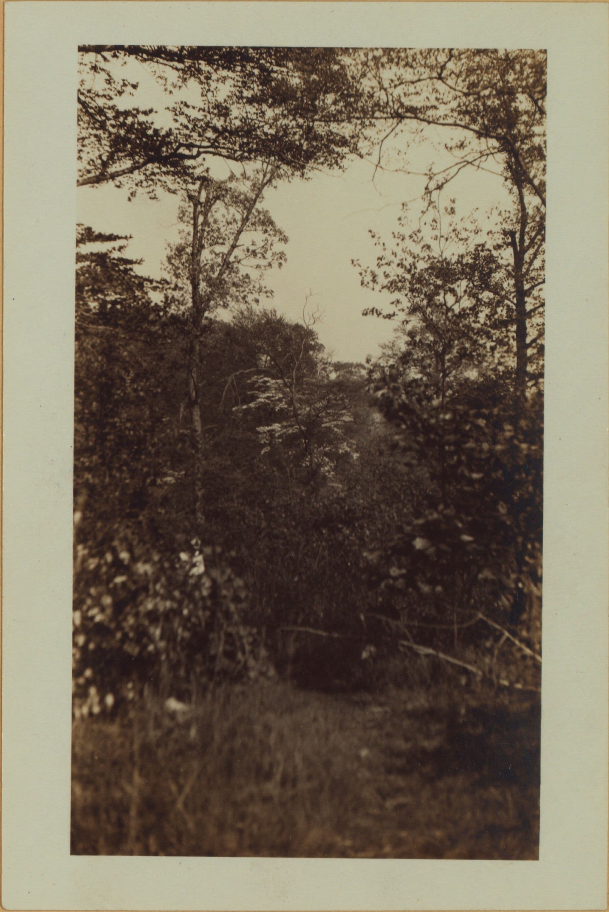 Richmond: Hunton Street - Holly Street