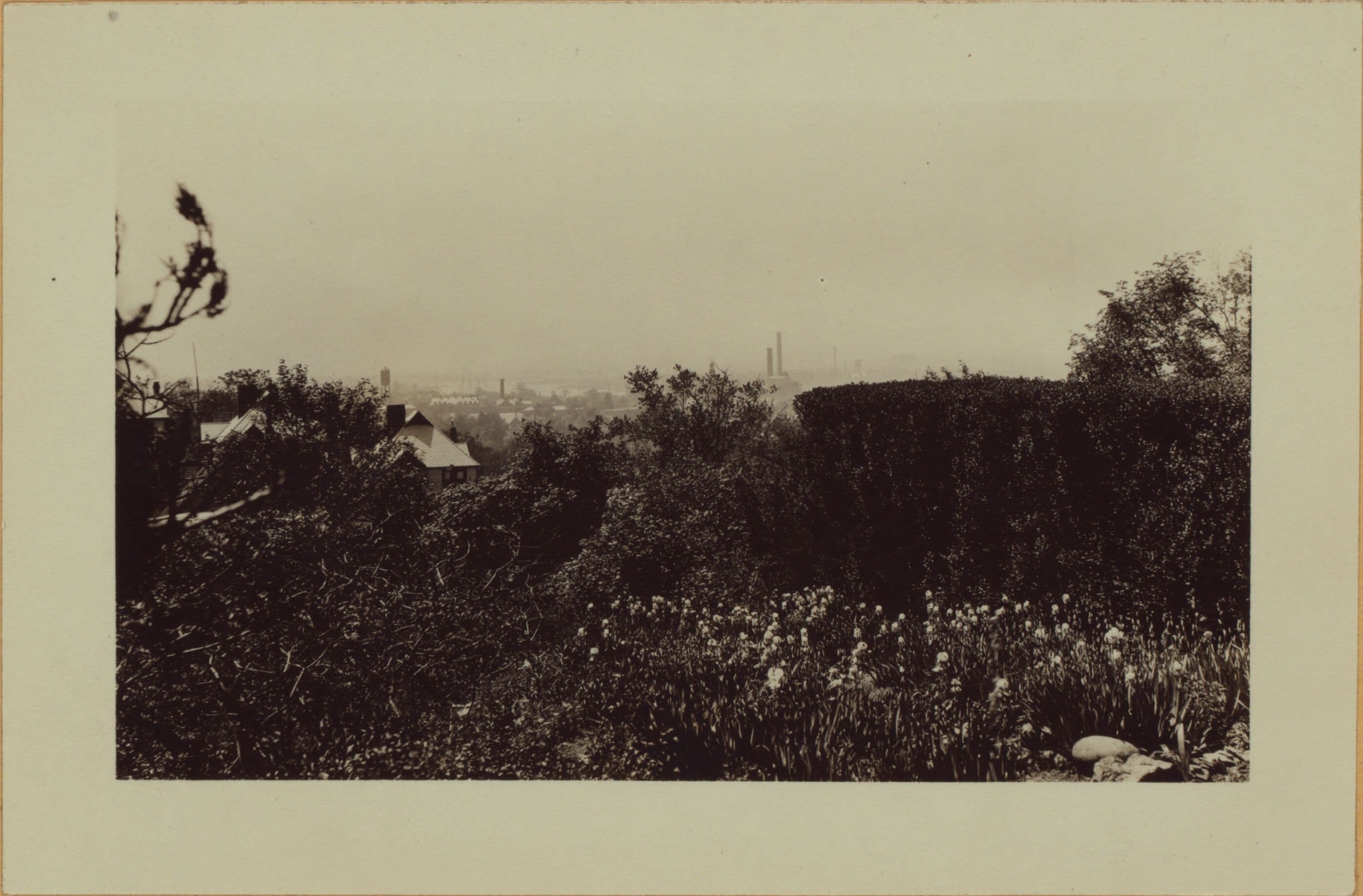 Richmond: Fairview Avenue - Knox Place