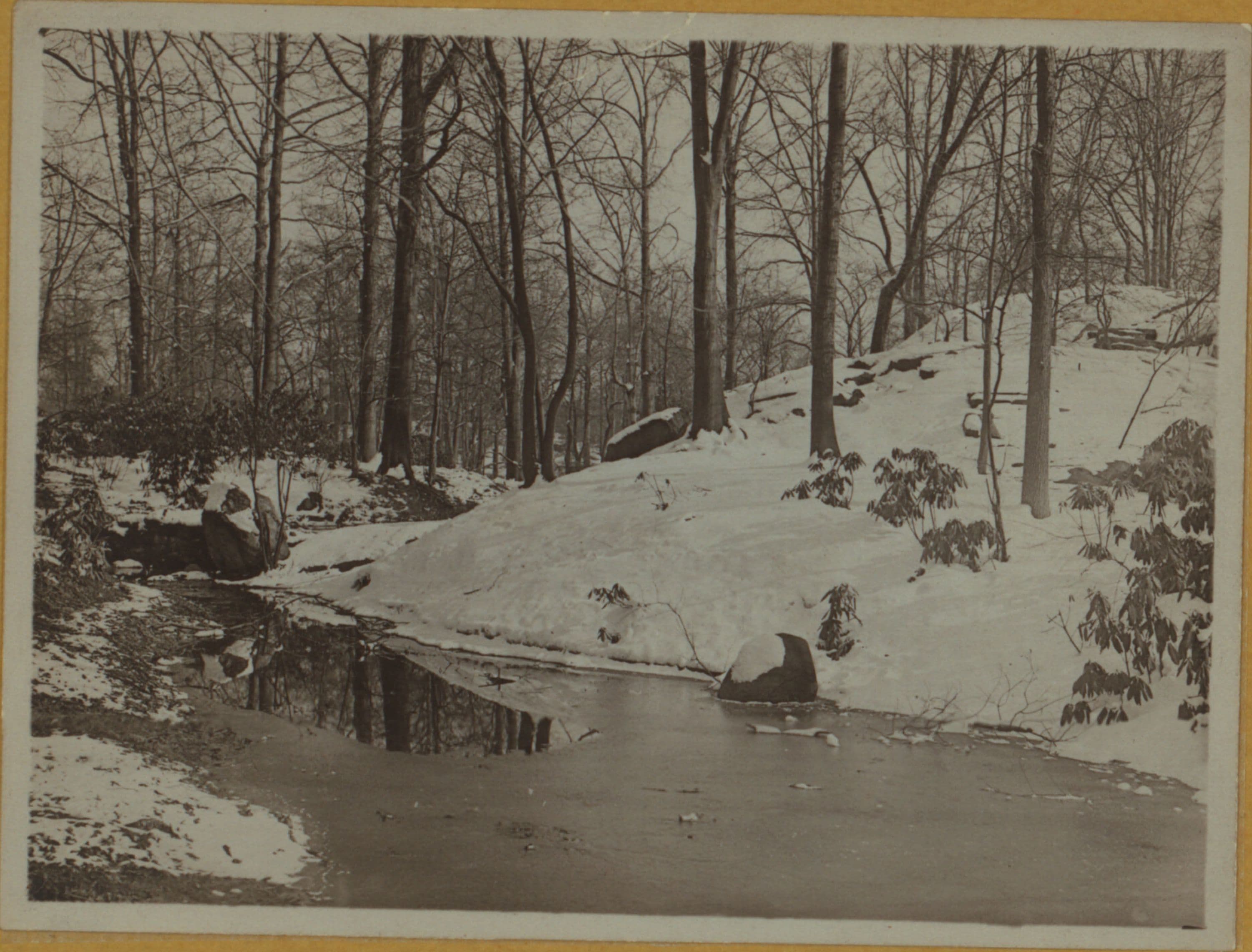 Snowstorms - Near Central Park.