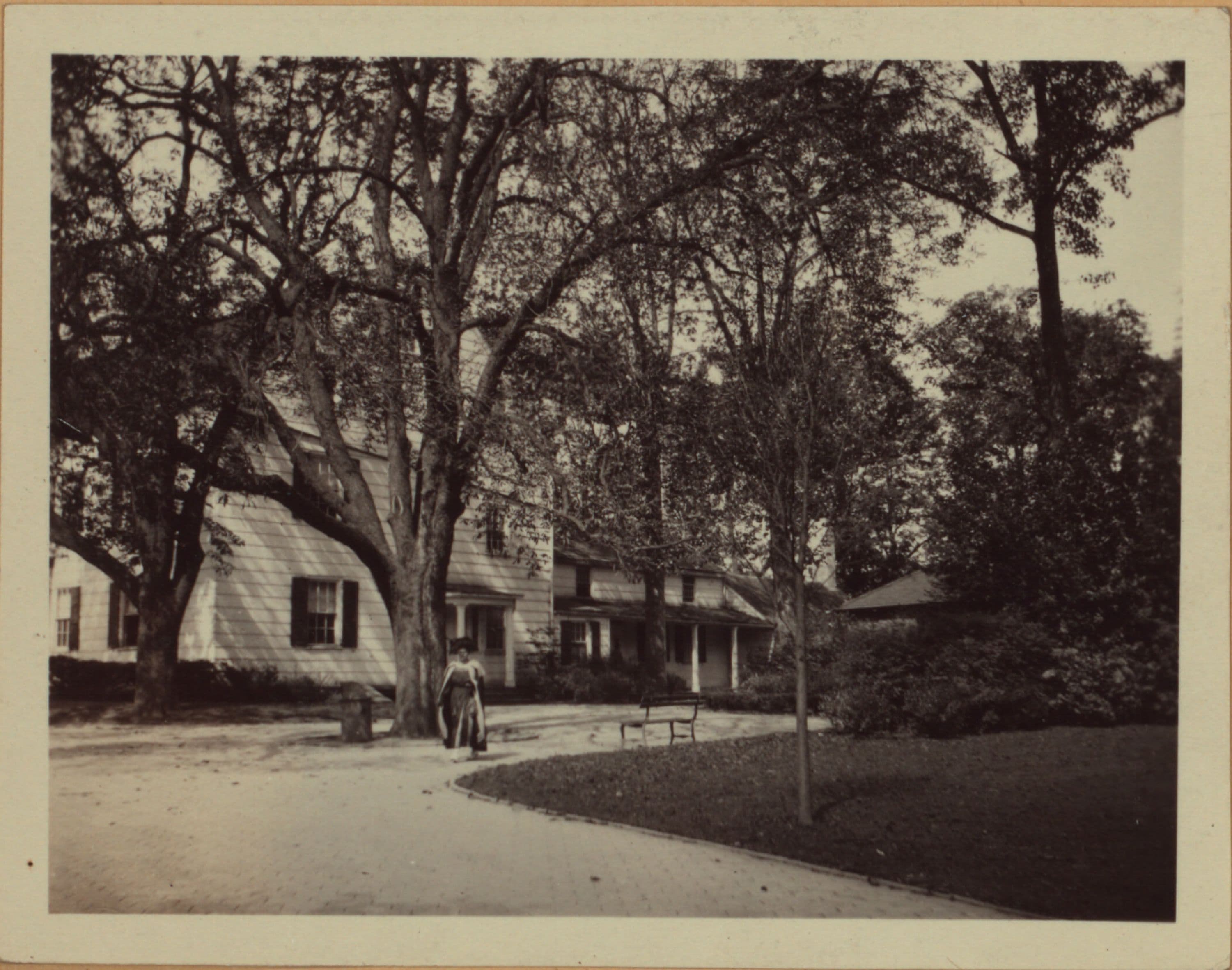 Queens: Jamaica Avenue - 150th Street