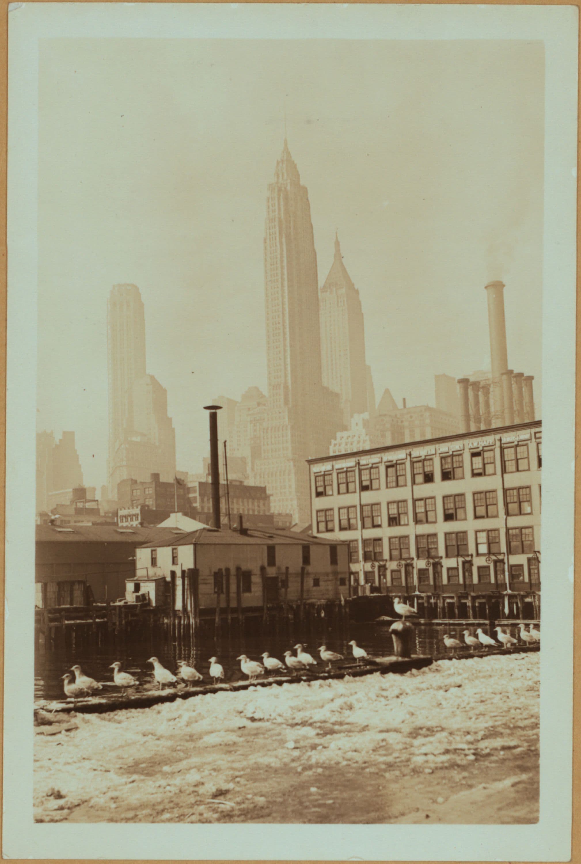 Fulton fish market docks in Manhattan - [Seagulls.], 1934