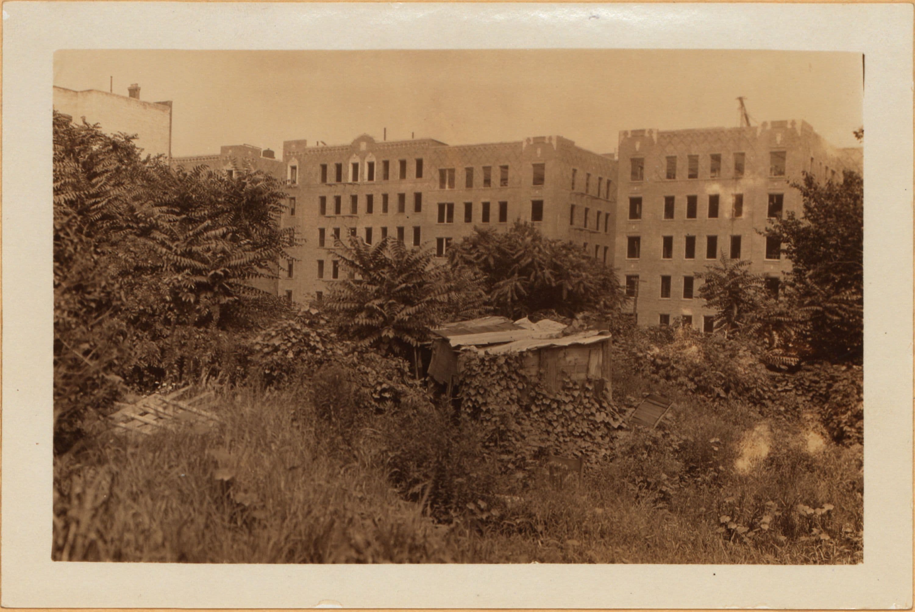 Bronx: Cruger Avenue - Pelham Parkway South
