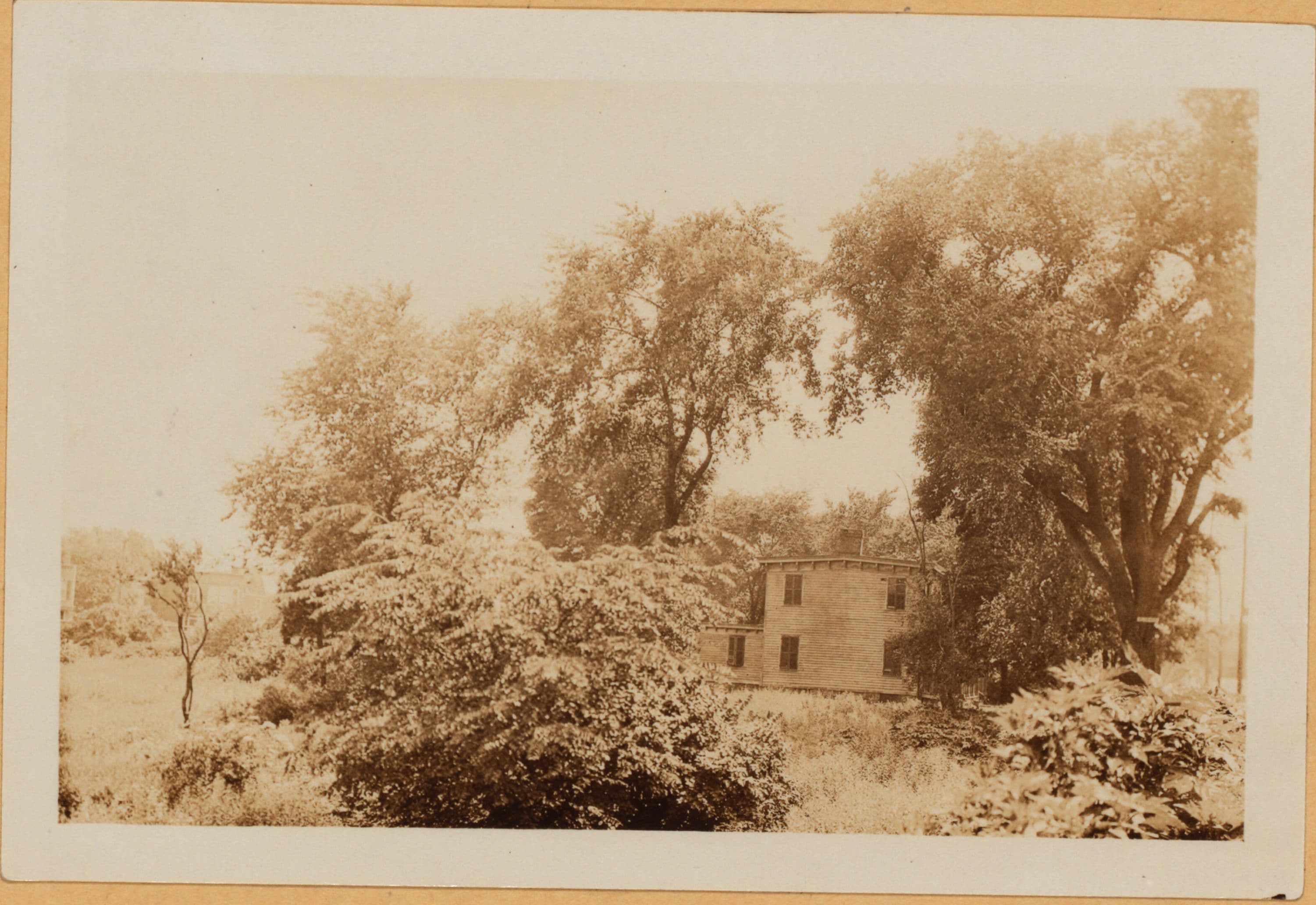 Bronx: Westchester Avenue - Havemeyer Avenue