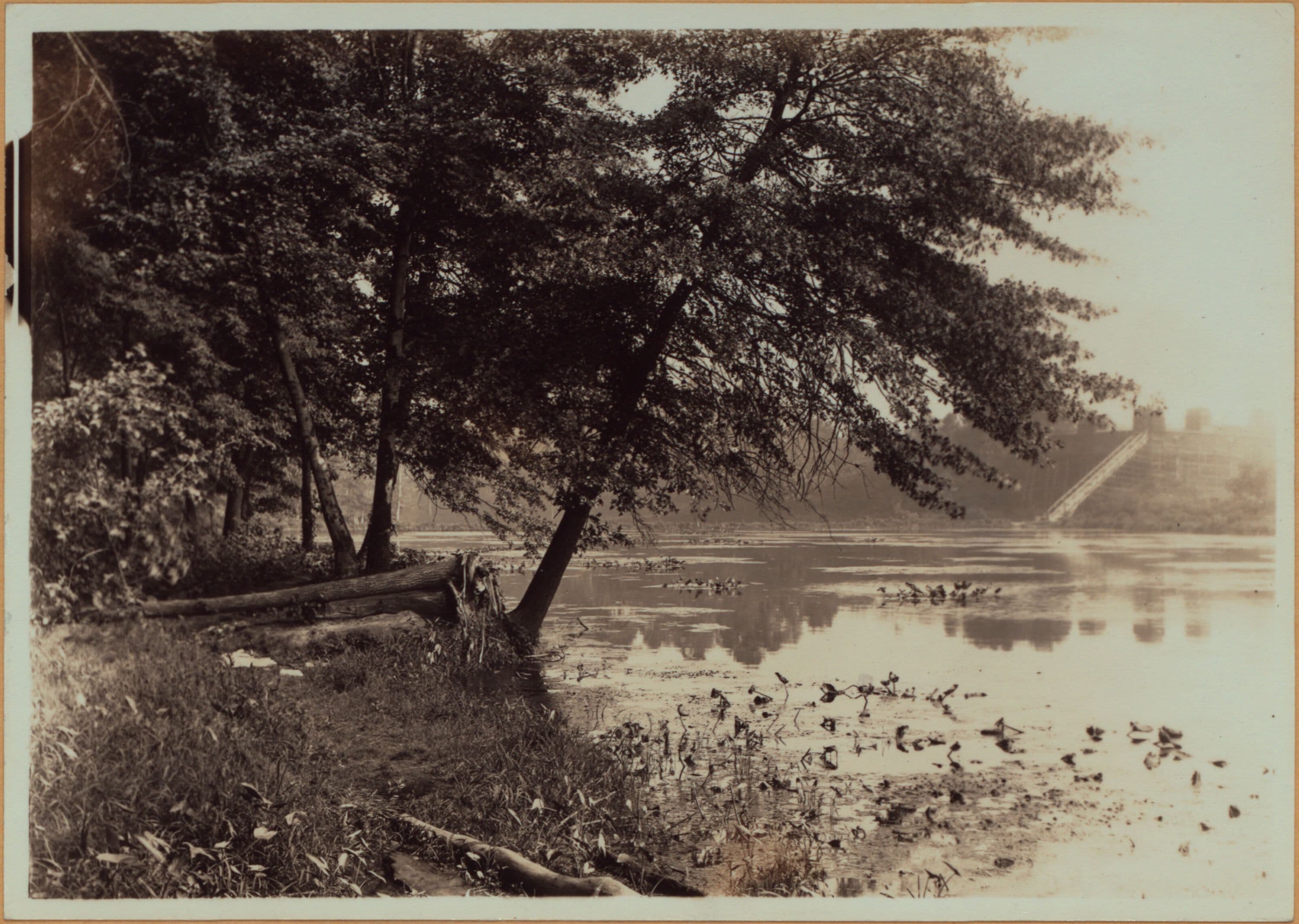 Richmond:] Staten Island - Clove Lakes Park - Clove Lake.