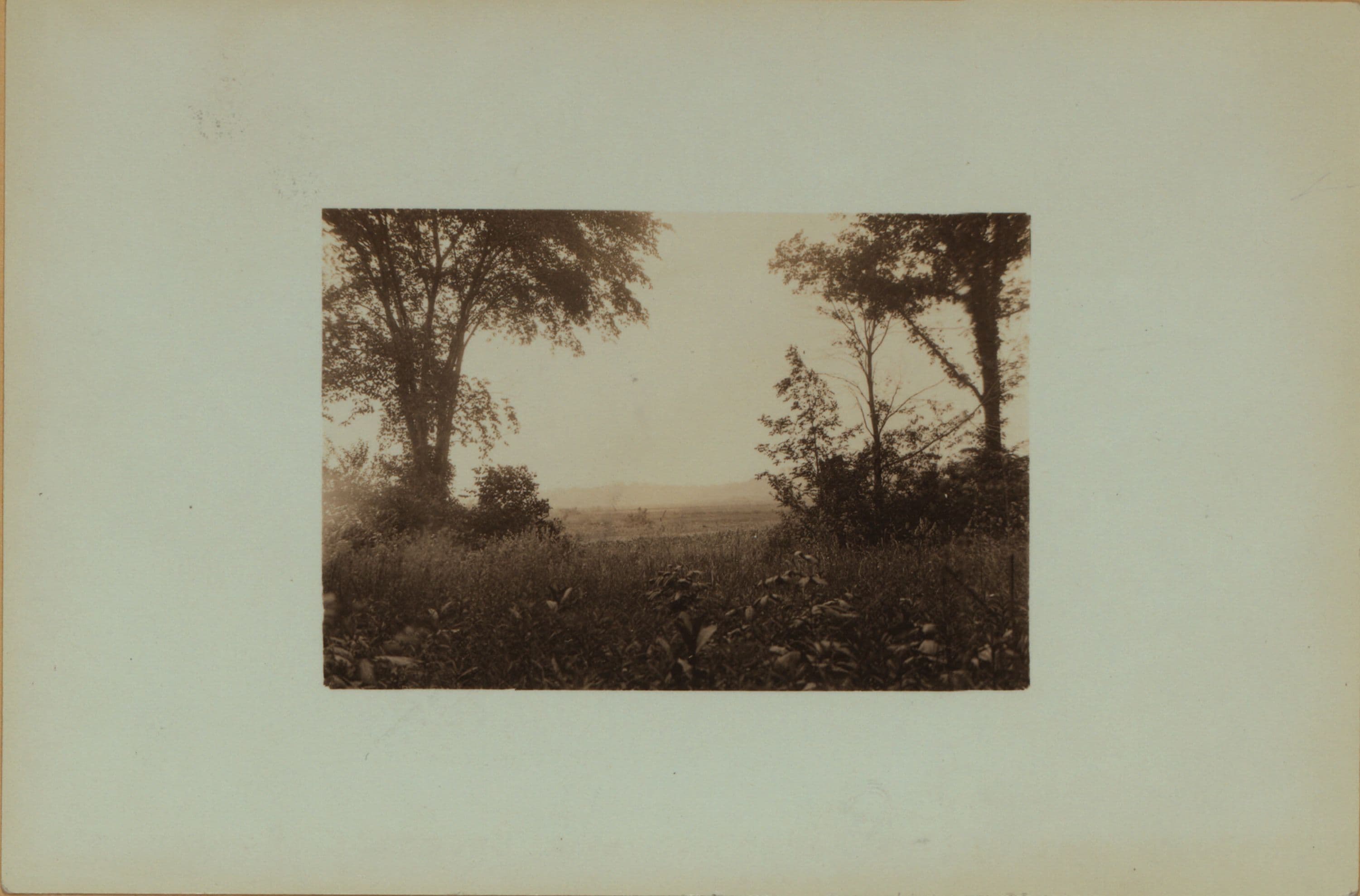 Richmond Creek - Staten Island - Latourette Park.