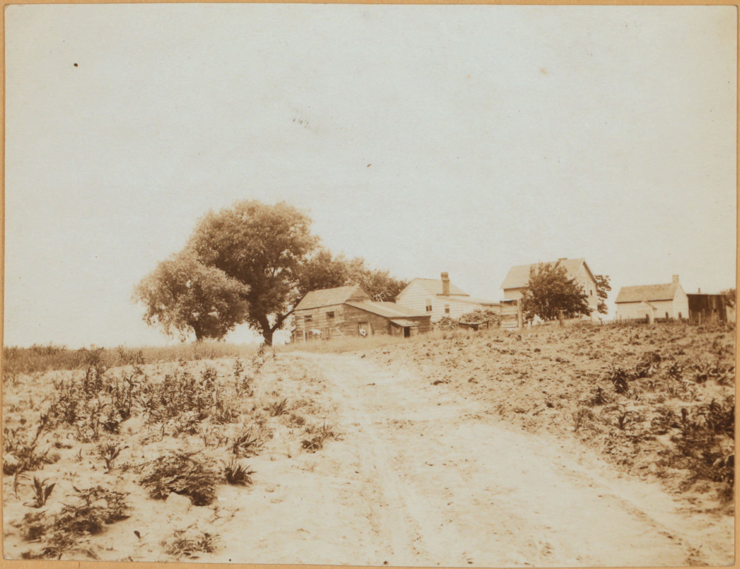 Brooklyn: Skidmore Lane - Rockaway Parkway