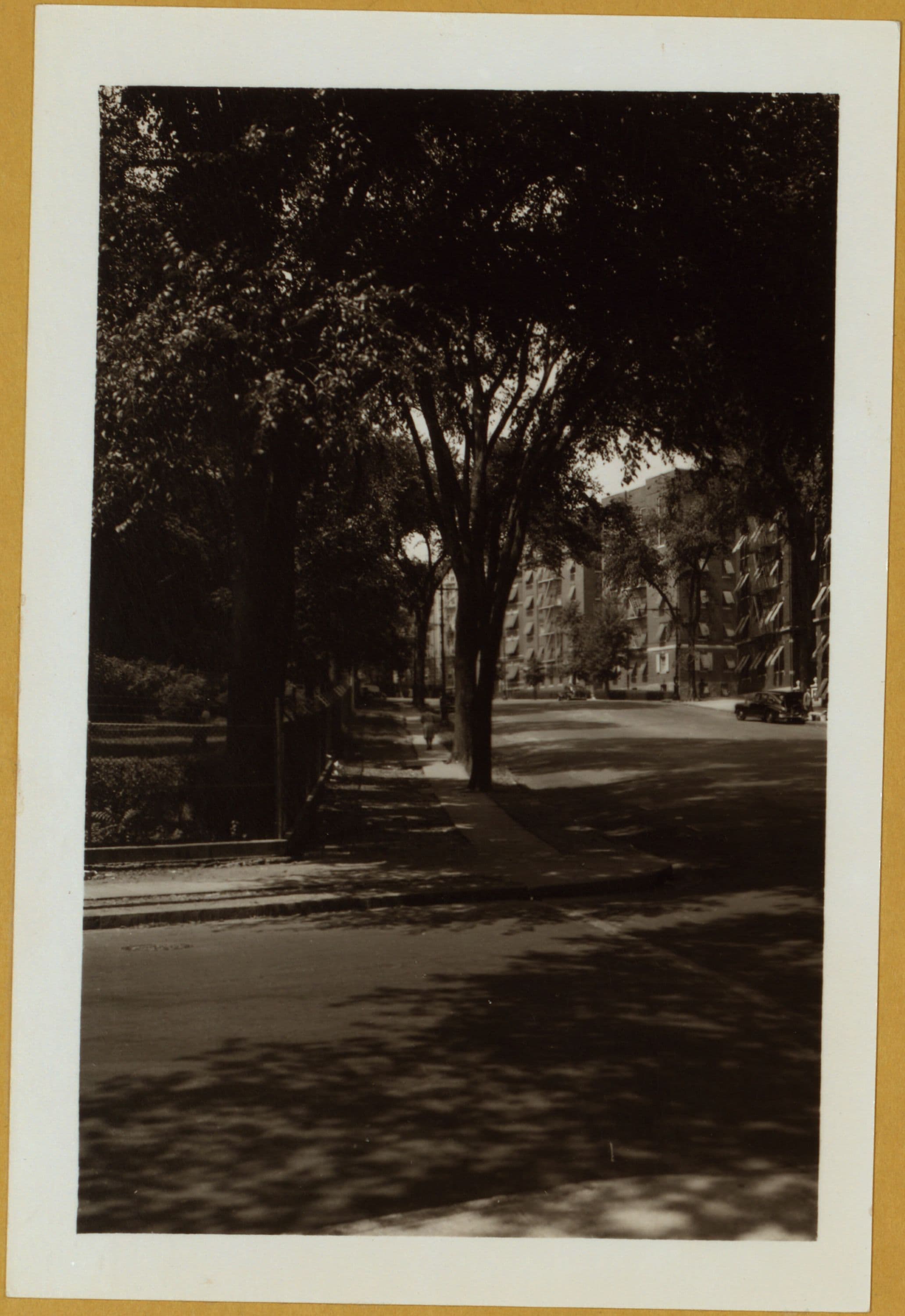 Bronx: Bedford Park Blvd. - west from Marion Ave.