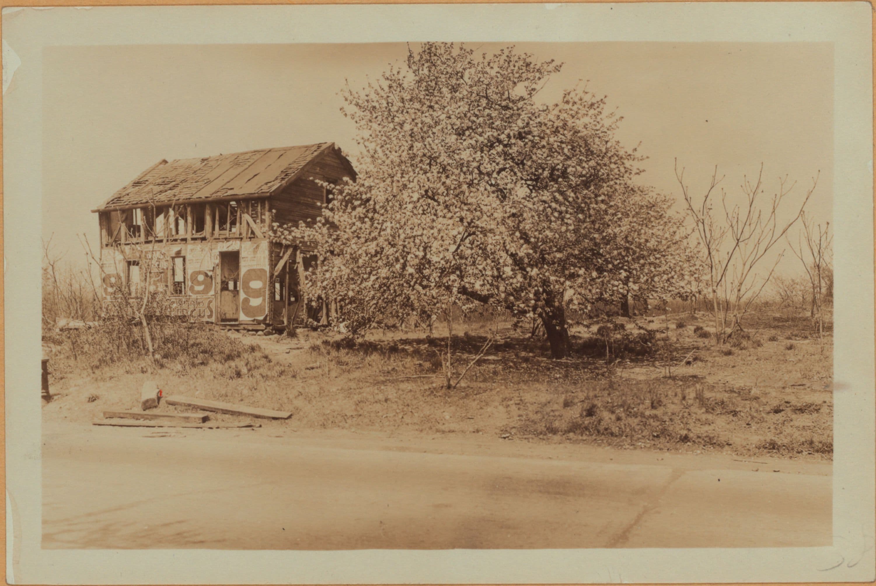 Richmond: Arthur Kill Road - Clay Pit Road