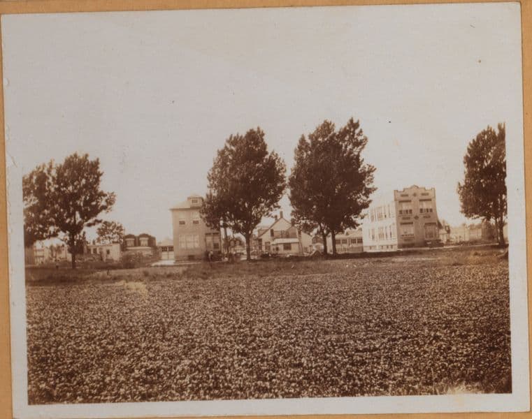 Brooklyn: 53rd Street (East) - Avenue N