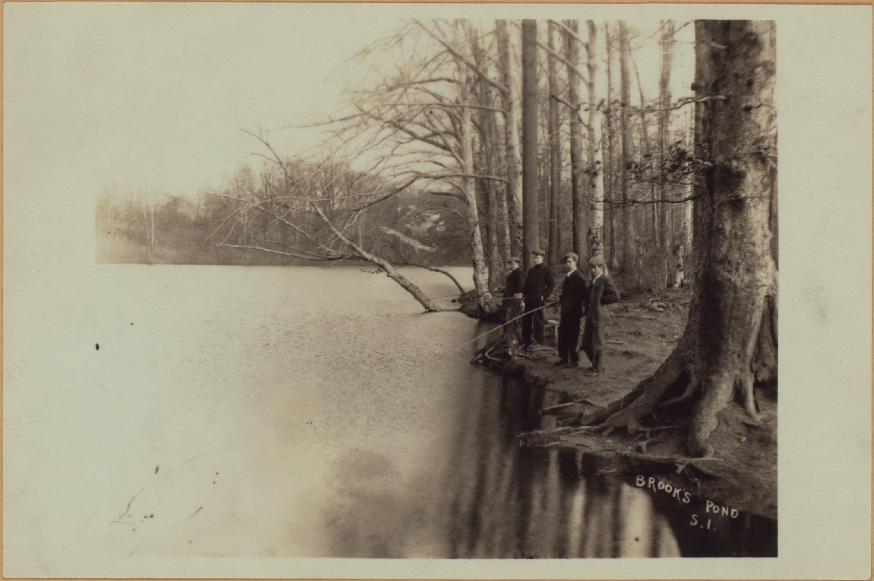 Richmond: [Staten Island] - Clove Lakes Park - Brook's Lake (Pond)., 1905