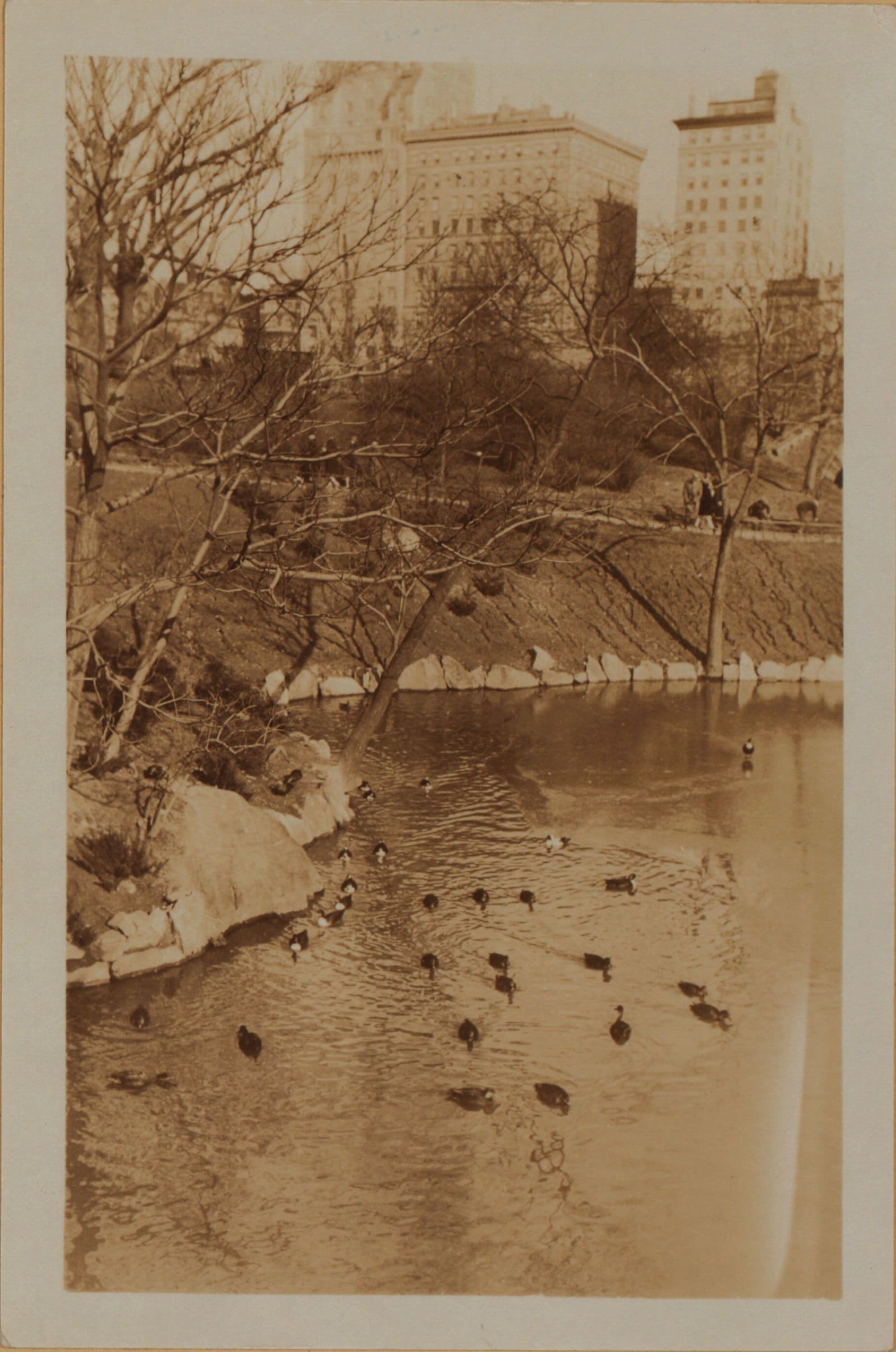 Manhattan: Central Park - The Pond.