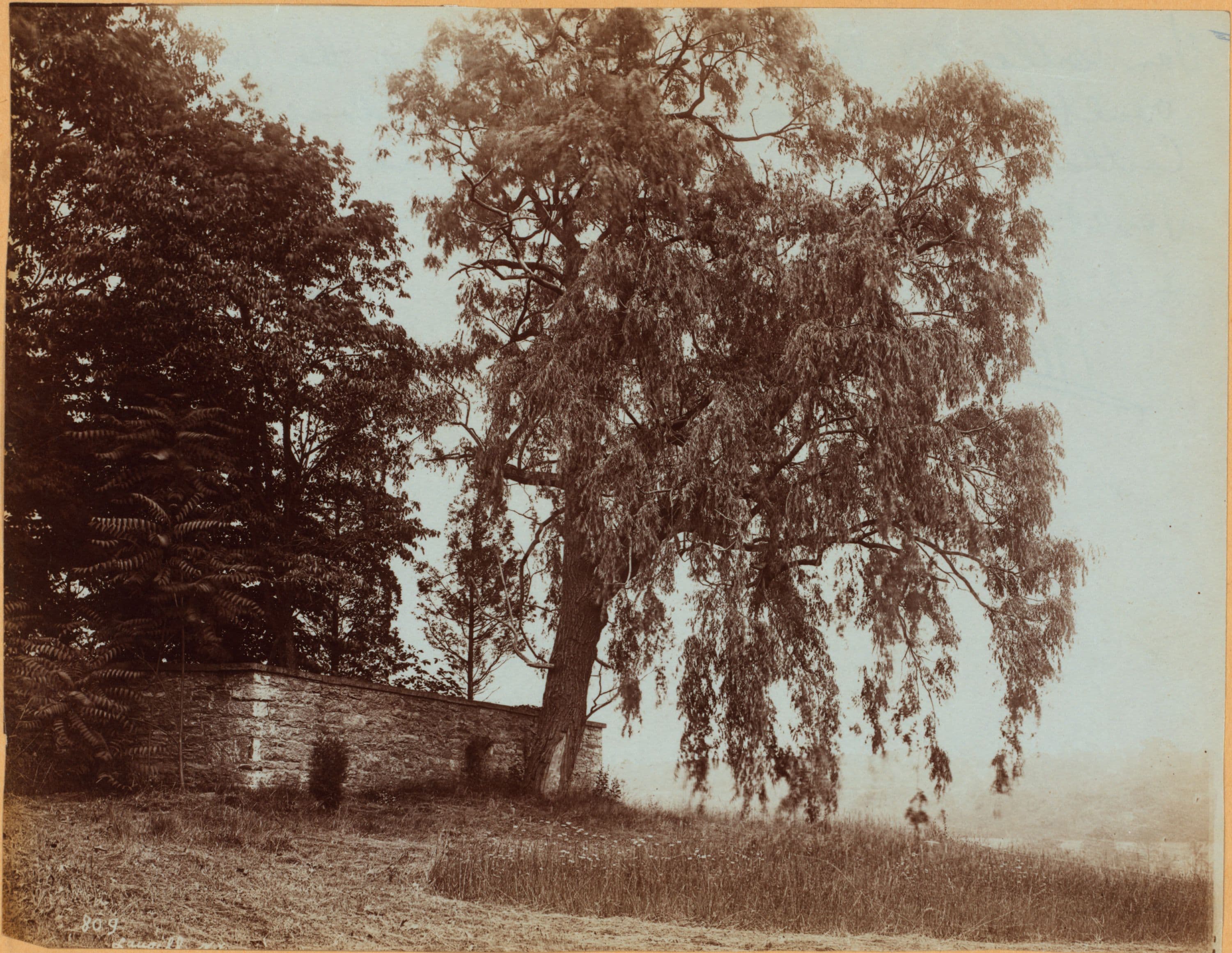 Bronx: Van Cortlandt Park - Van Cortlandt Vault., 1891