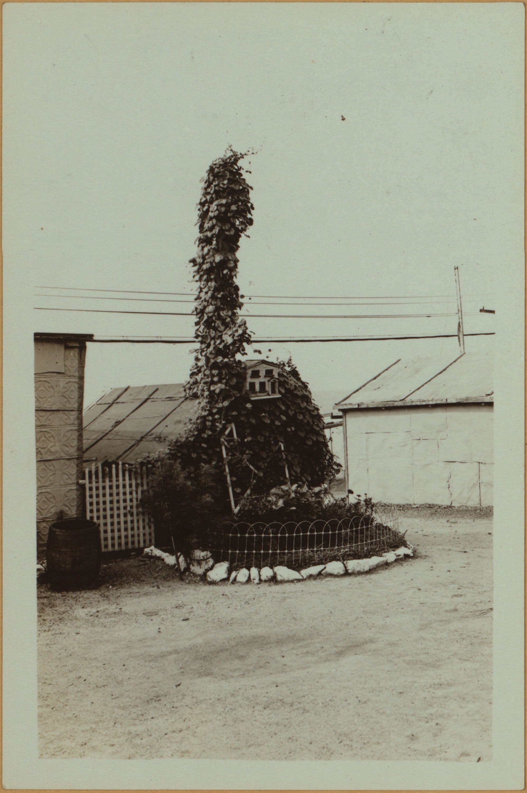 Squatters Colony - Camp Thomas Paine.