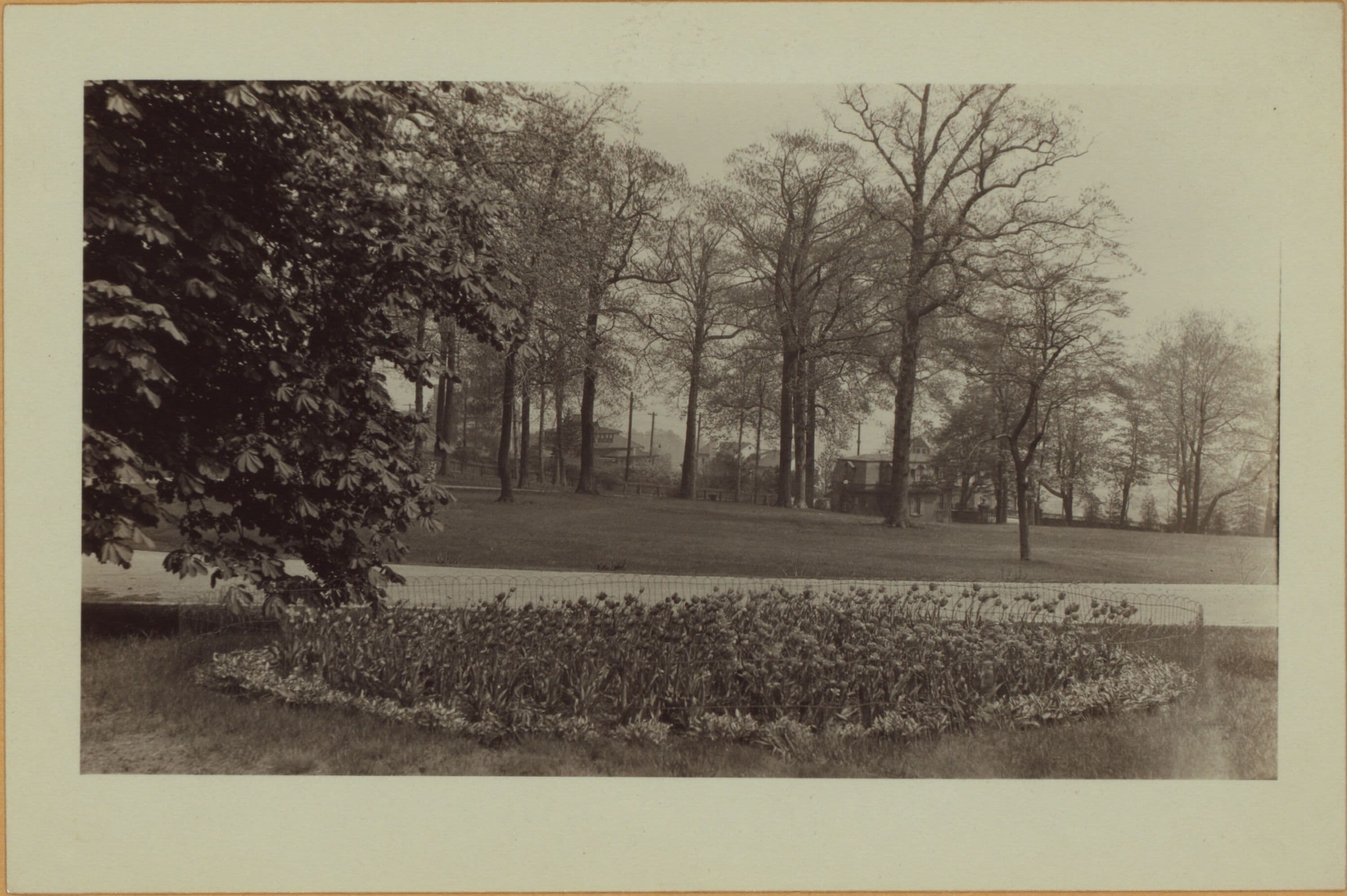 Richmond: Howard Avenue - Eddy Street