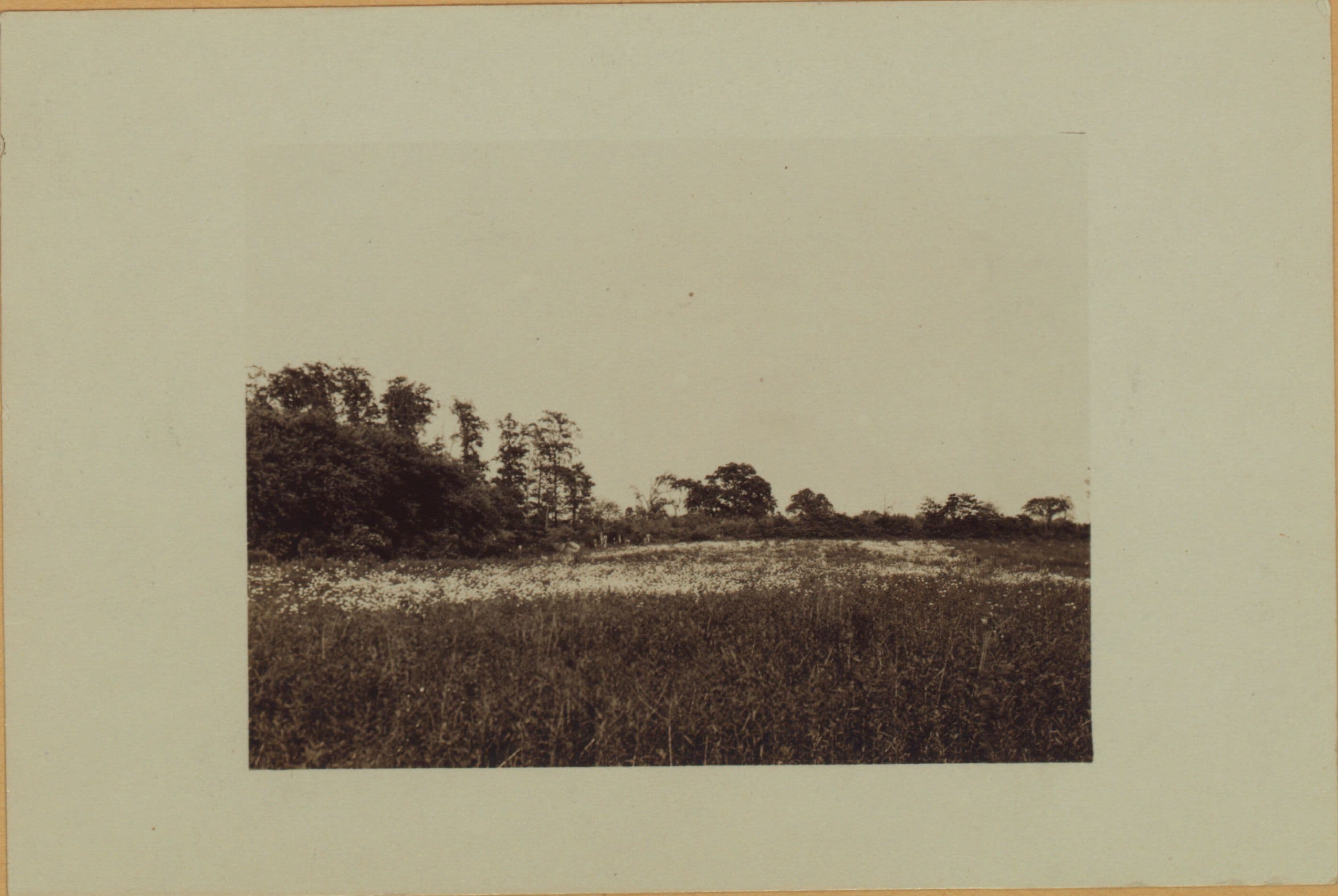 Richmond: Hall Avenue - Willowbrook Road