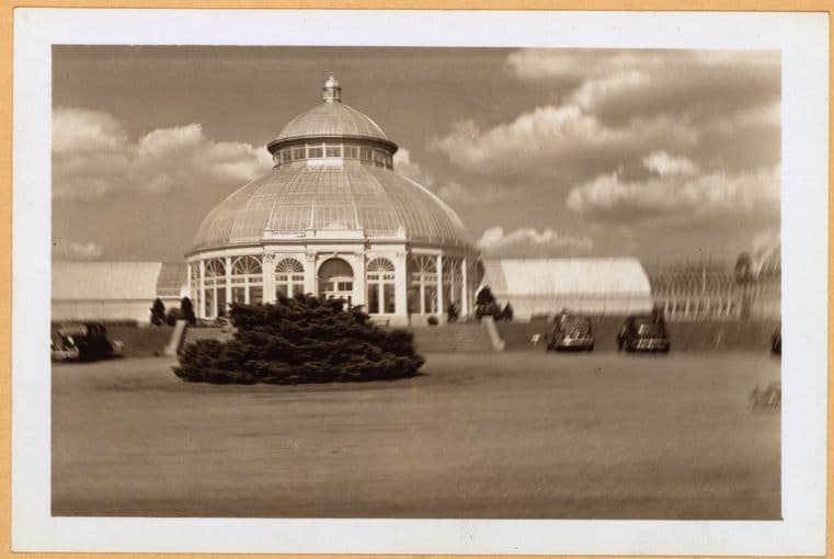 Bronx: Bronx Park - Central Dome - Botanical Garden.