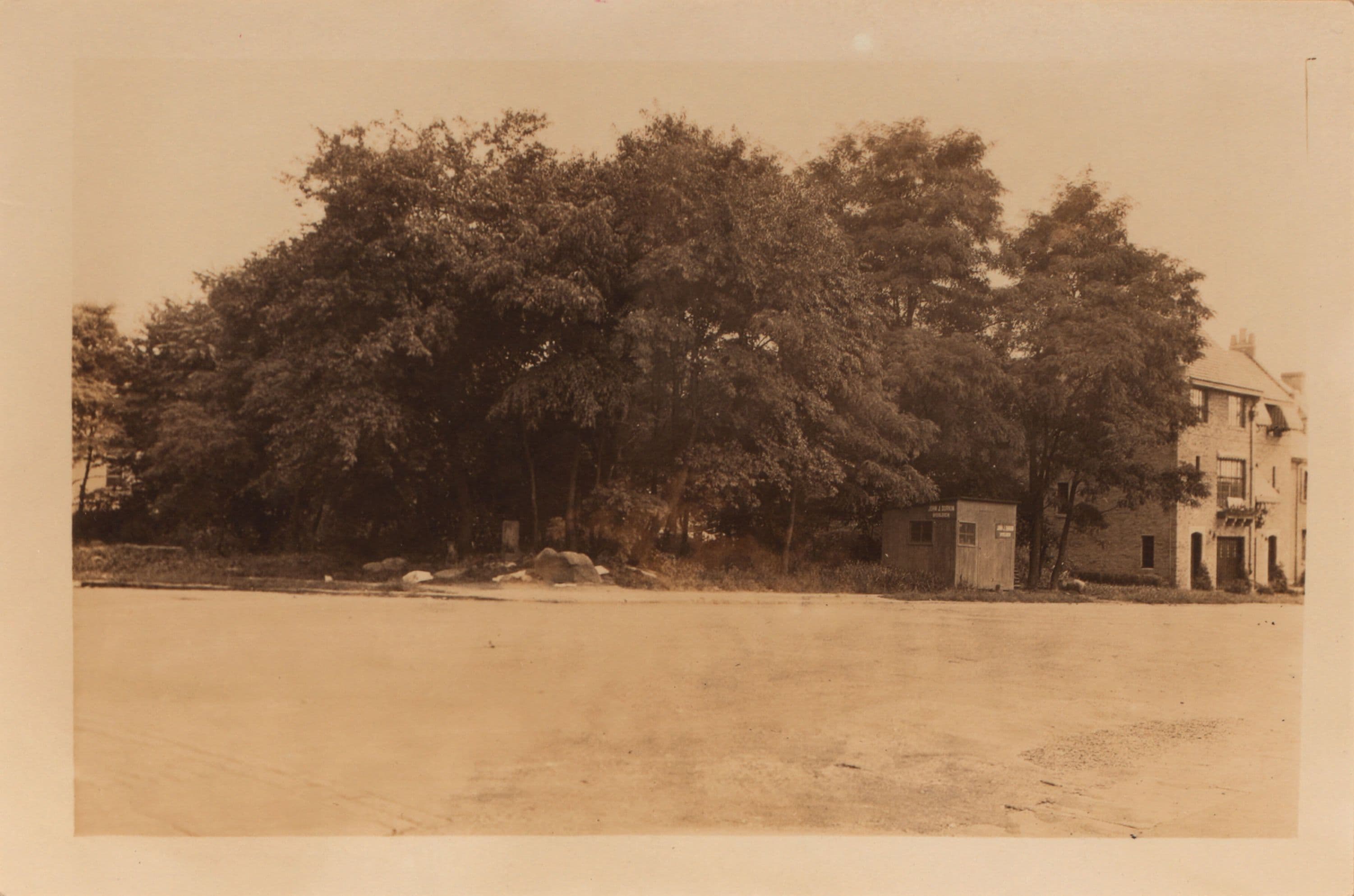 Bronx: Bainbridge Avenue - 210th Street (East)