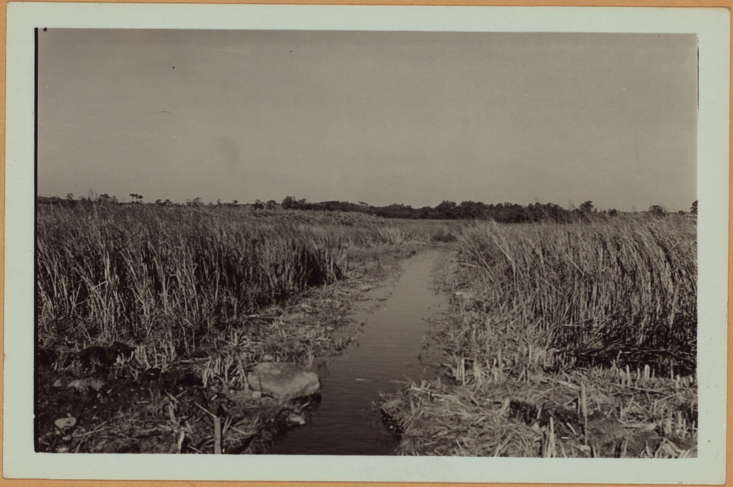 Queens: Flushing Meadow Park - [Roosevelt Avenue - Northern Boulevard.]