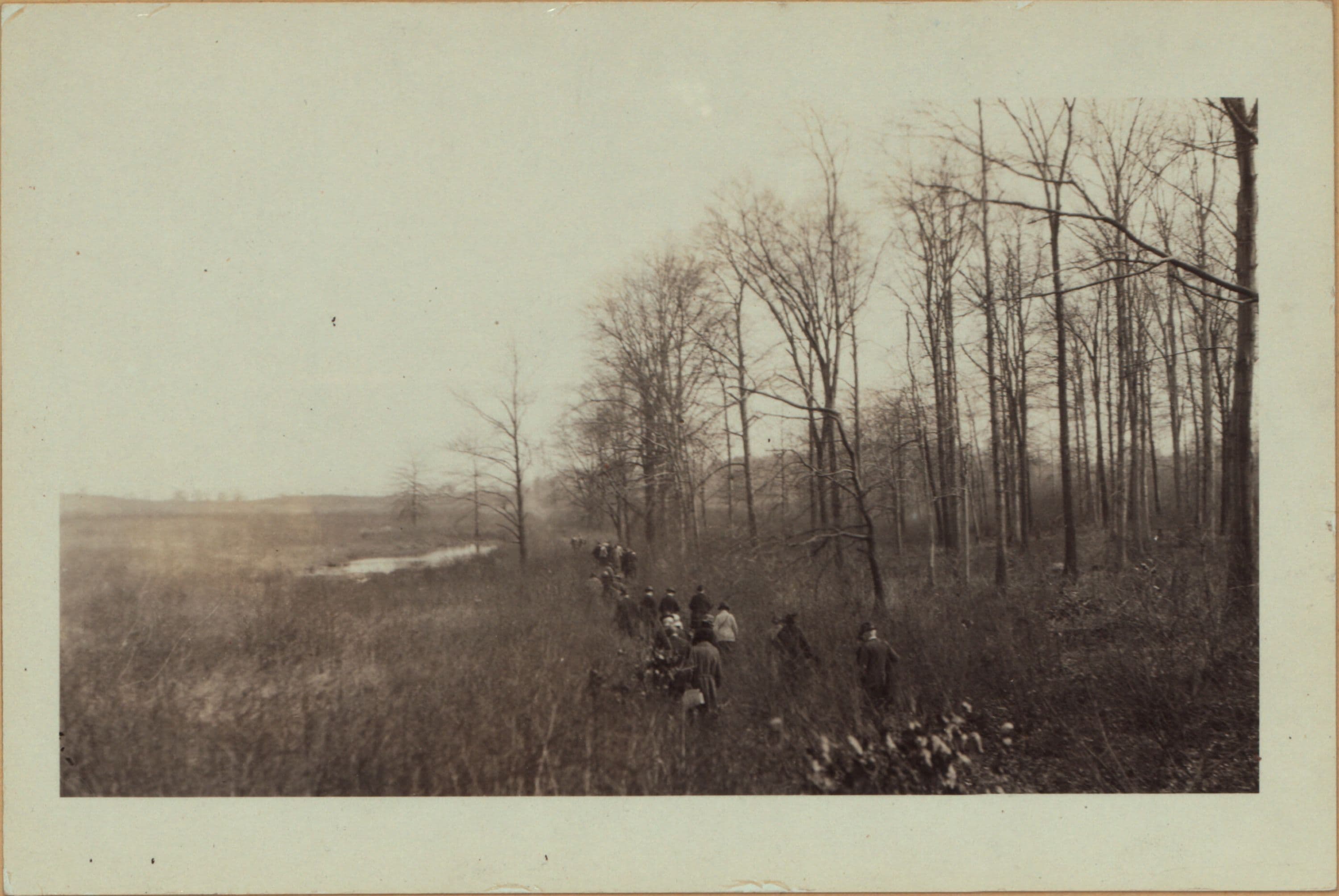 Richmond: Amboy Road - Swinnerton Street