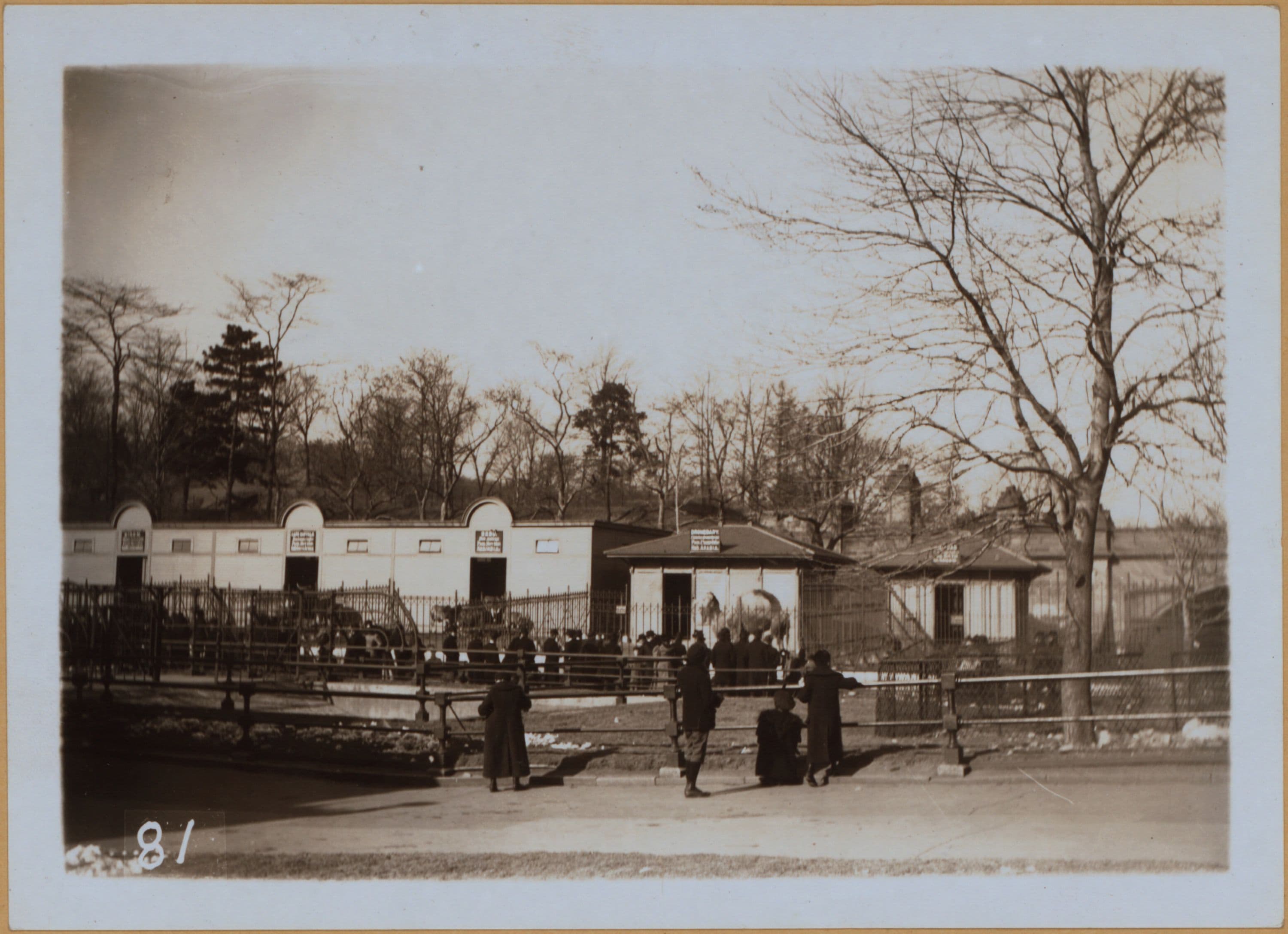 Manhattan: Central Park - [The Menagerie].