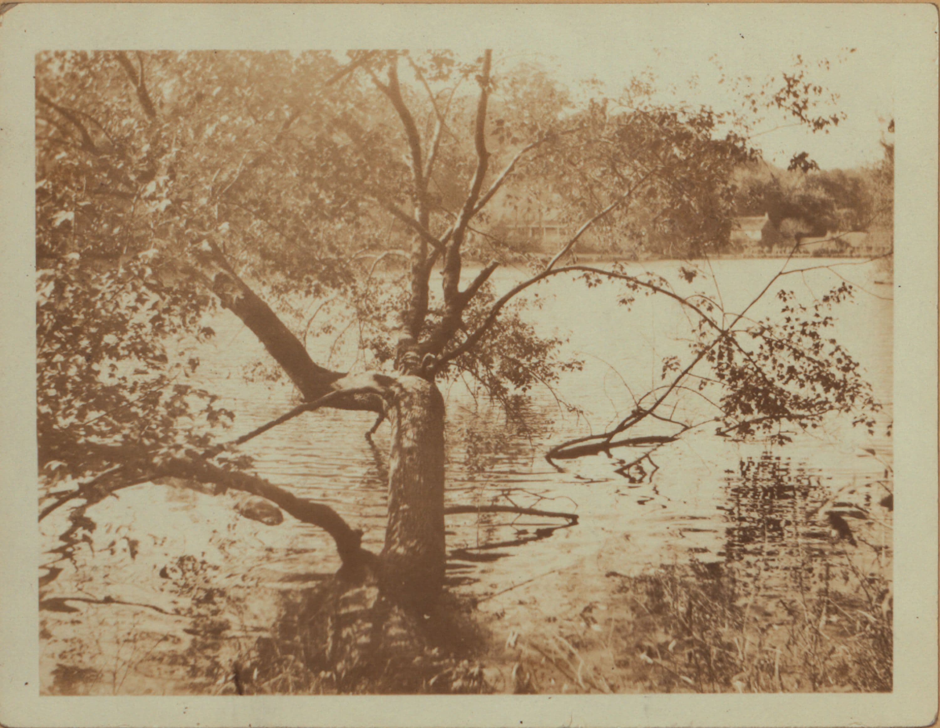 Queens: Buhrman's Lane - St. Mark's Avenue, 1922