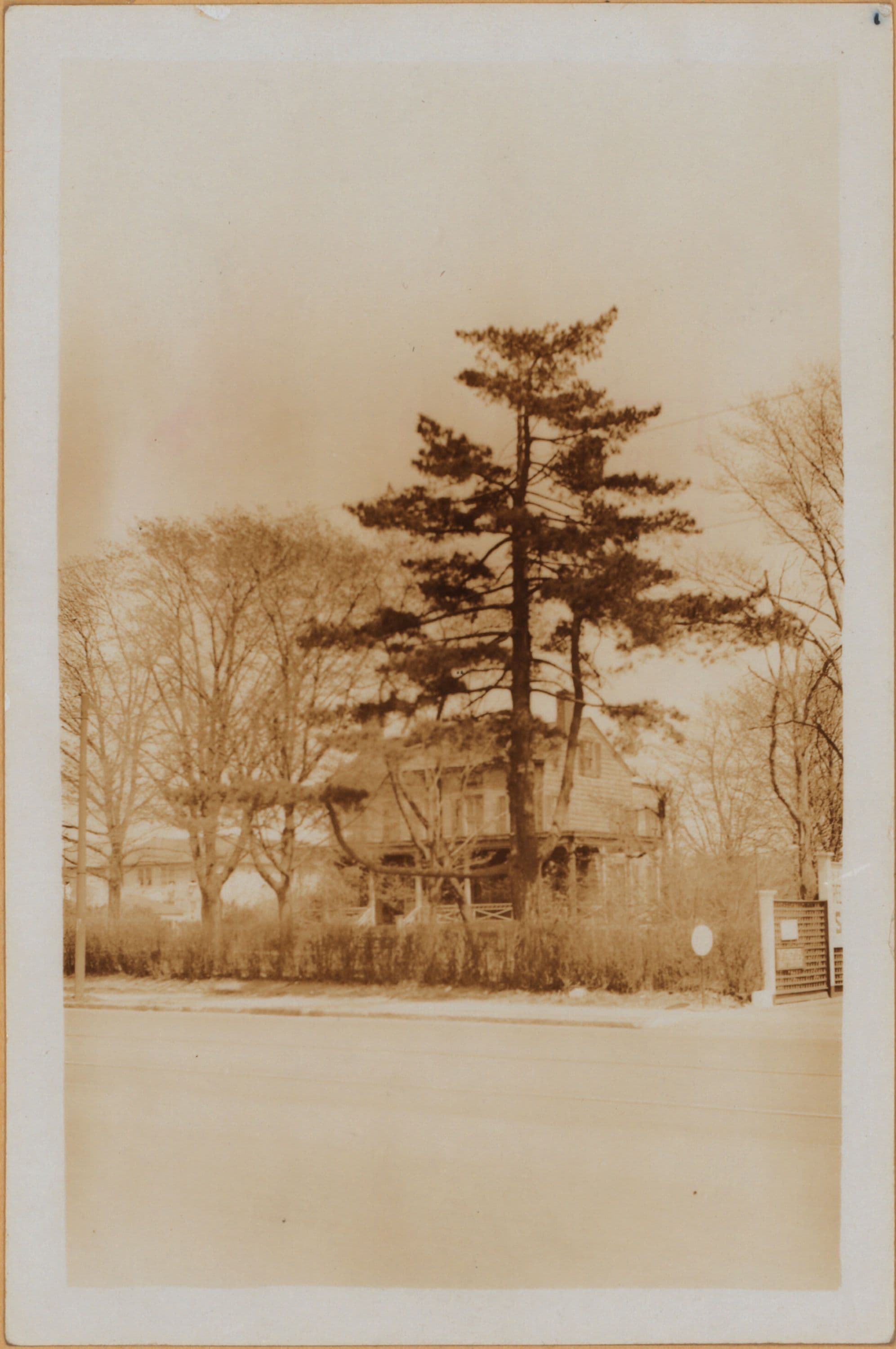 Brooklyn: Coney Island Avenue - Neck Road