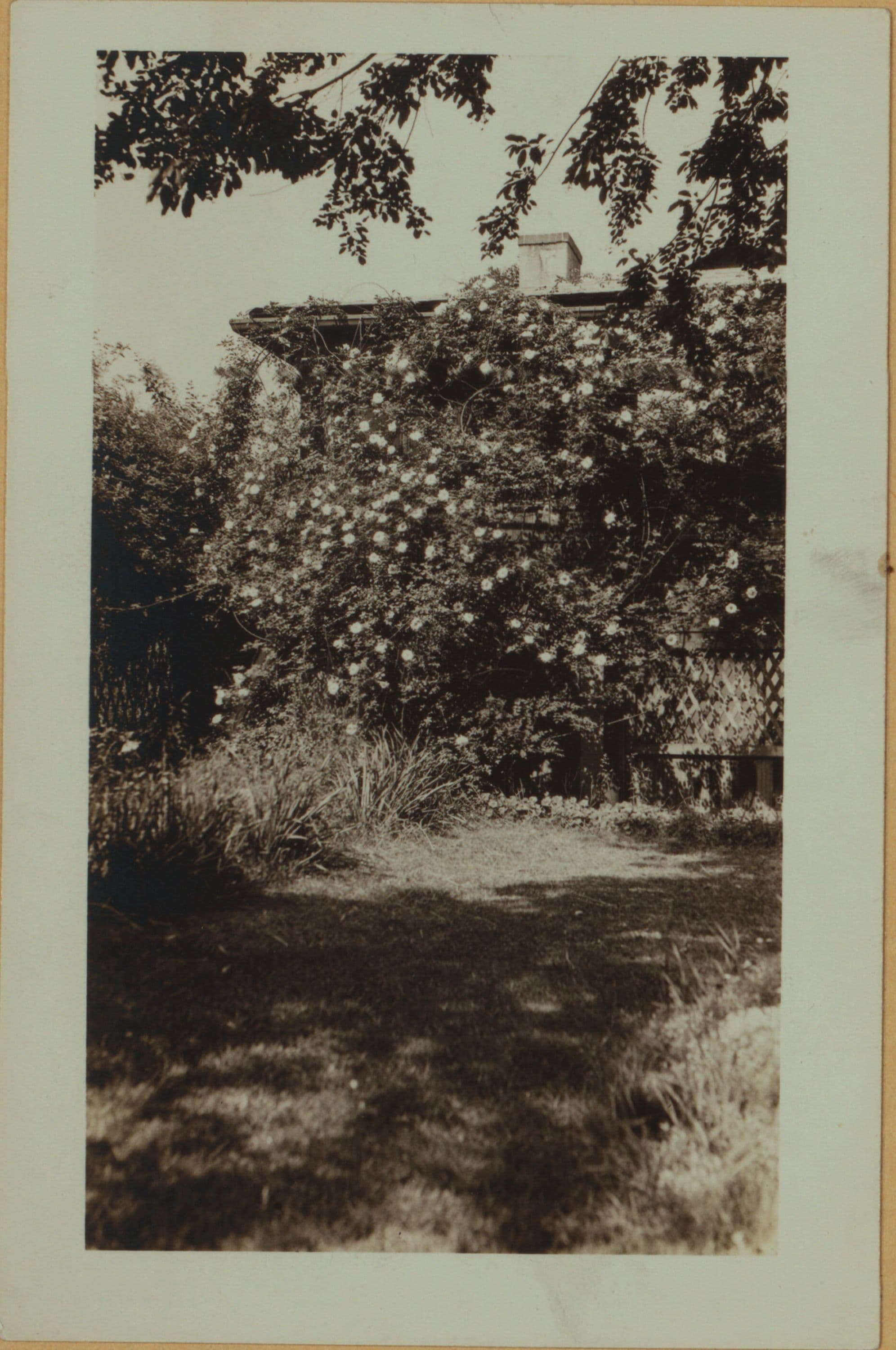 Richmond: University Place - Forest Avenue