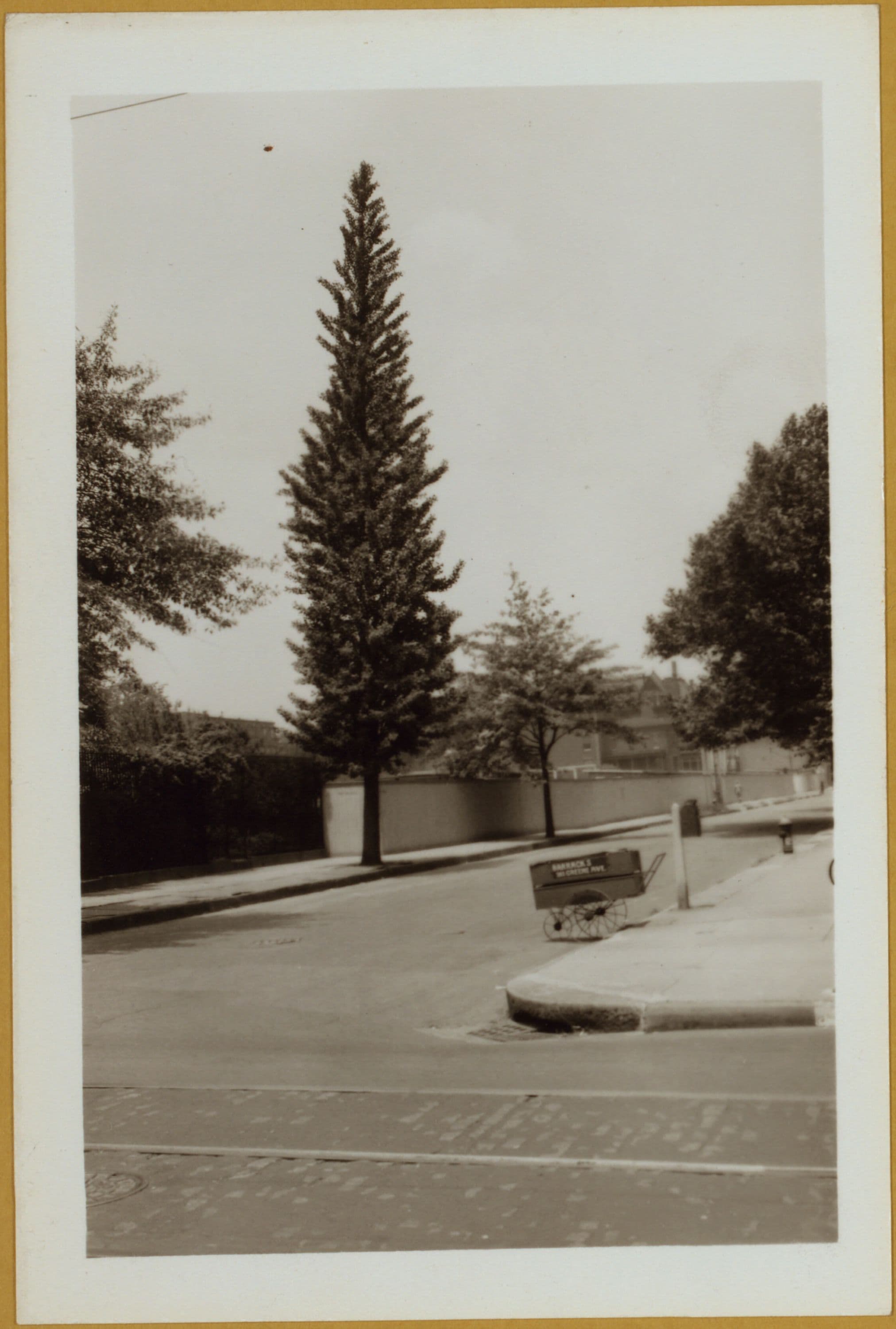 Brooklyn: Waverly Ave. - Greene Ave.