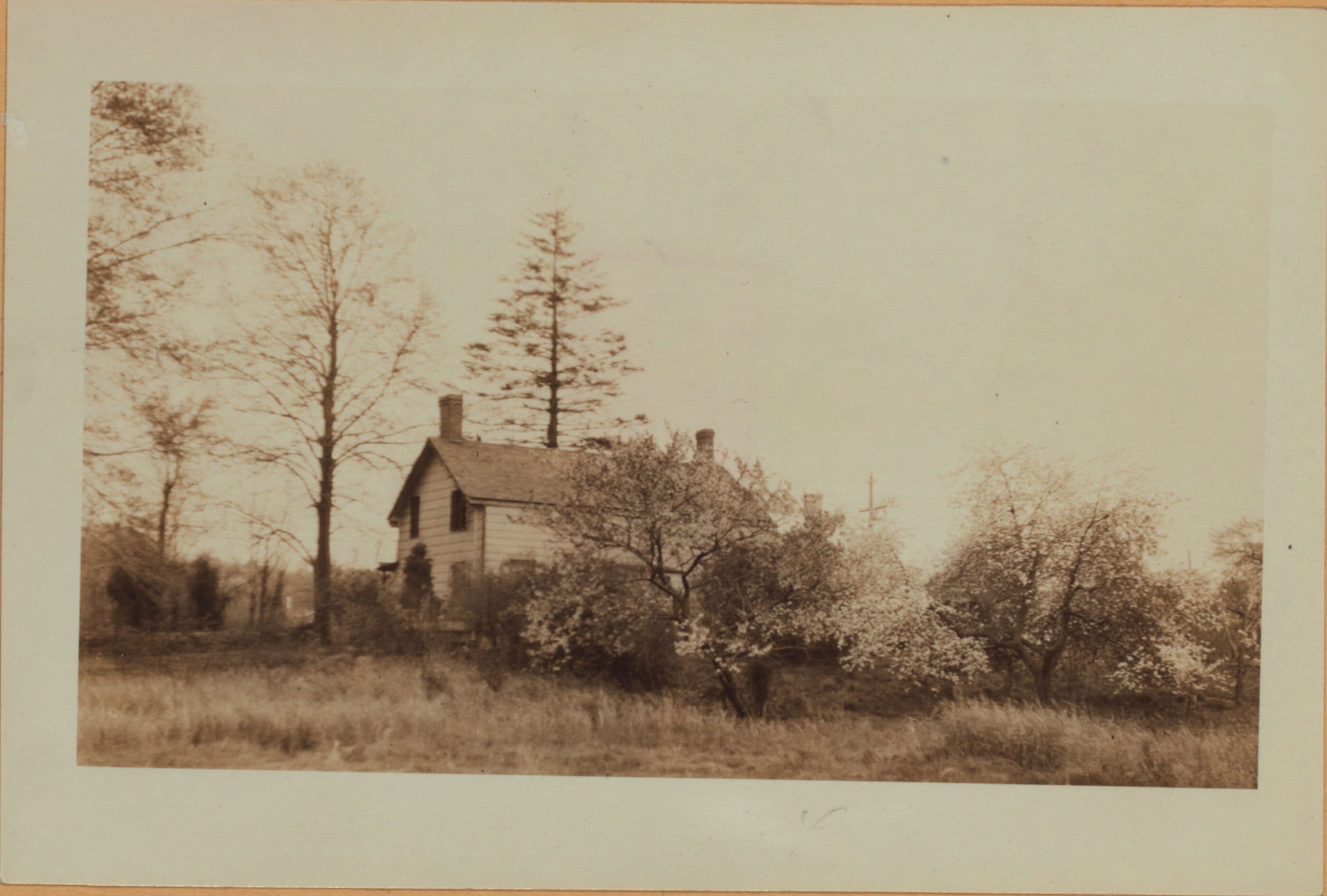 Richmond: Arthur Kill Road - Abingdon Avenue