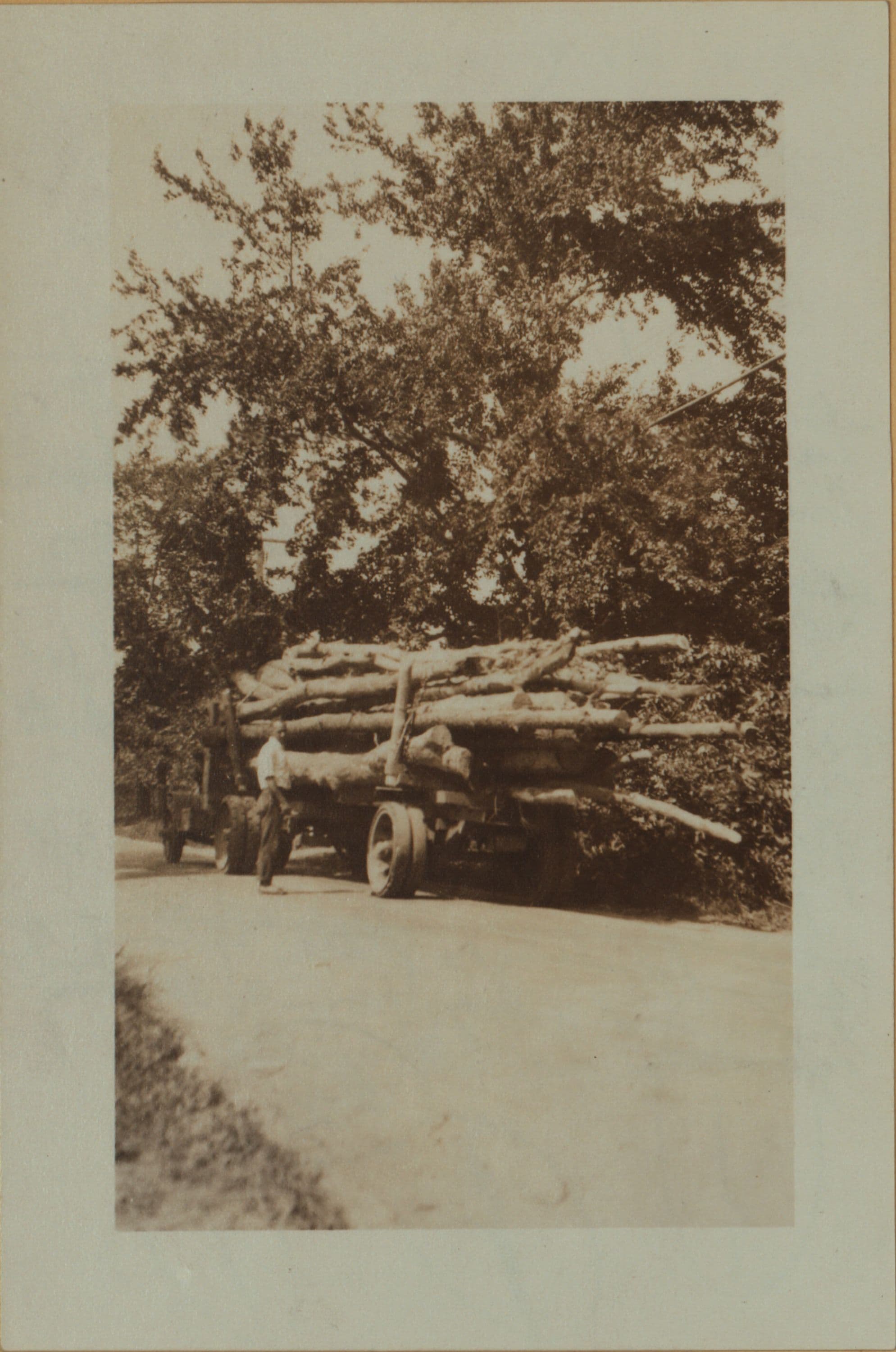 Lumbering on Staten Island.