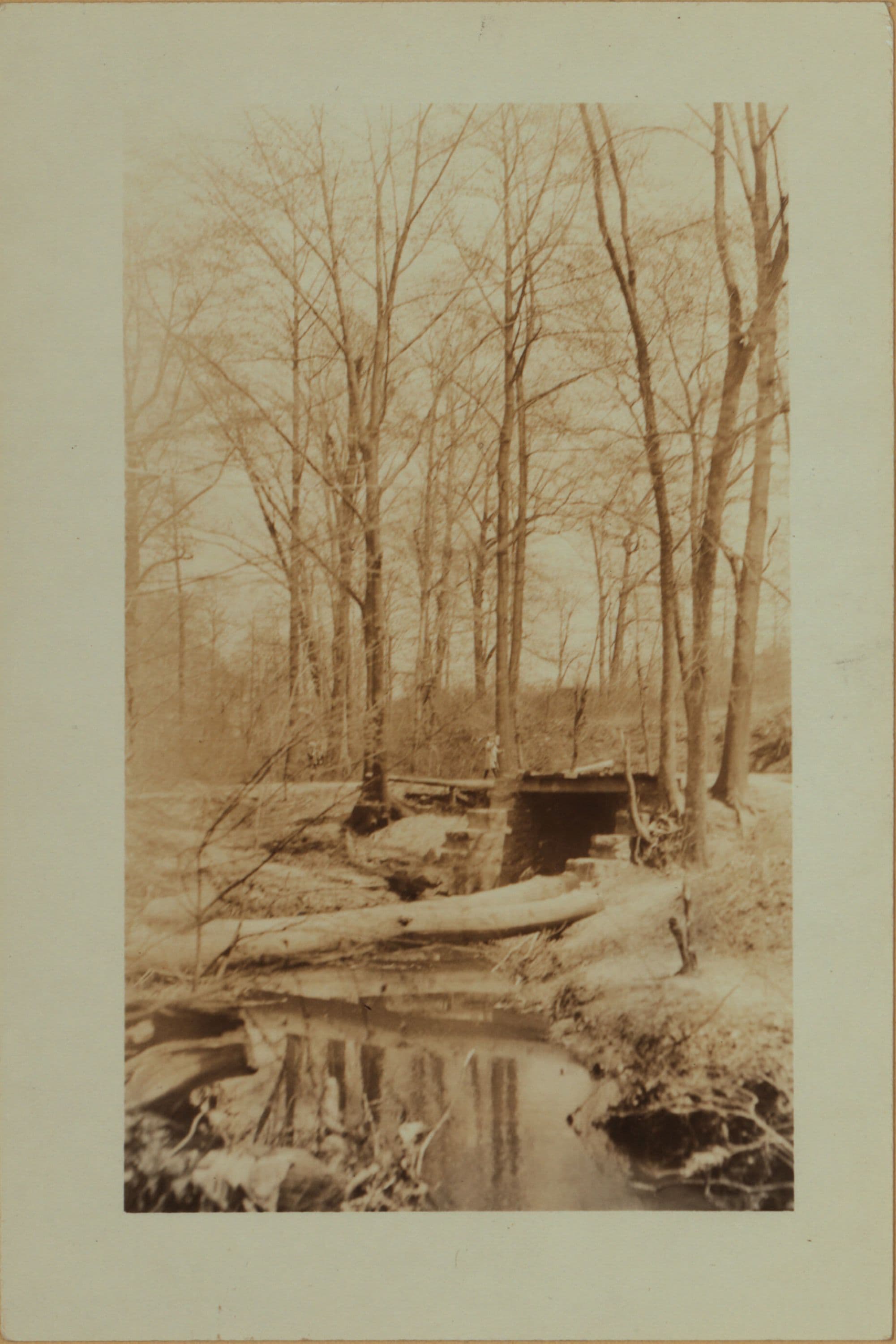 Betty Holmes' Brook - Staten Island [Richmond - Arthur Kill Road.]