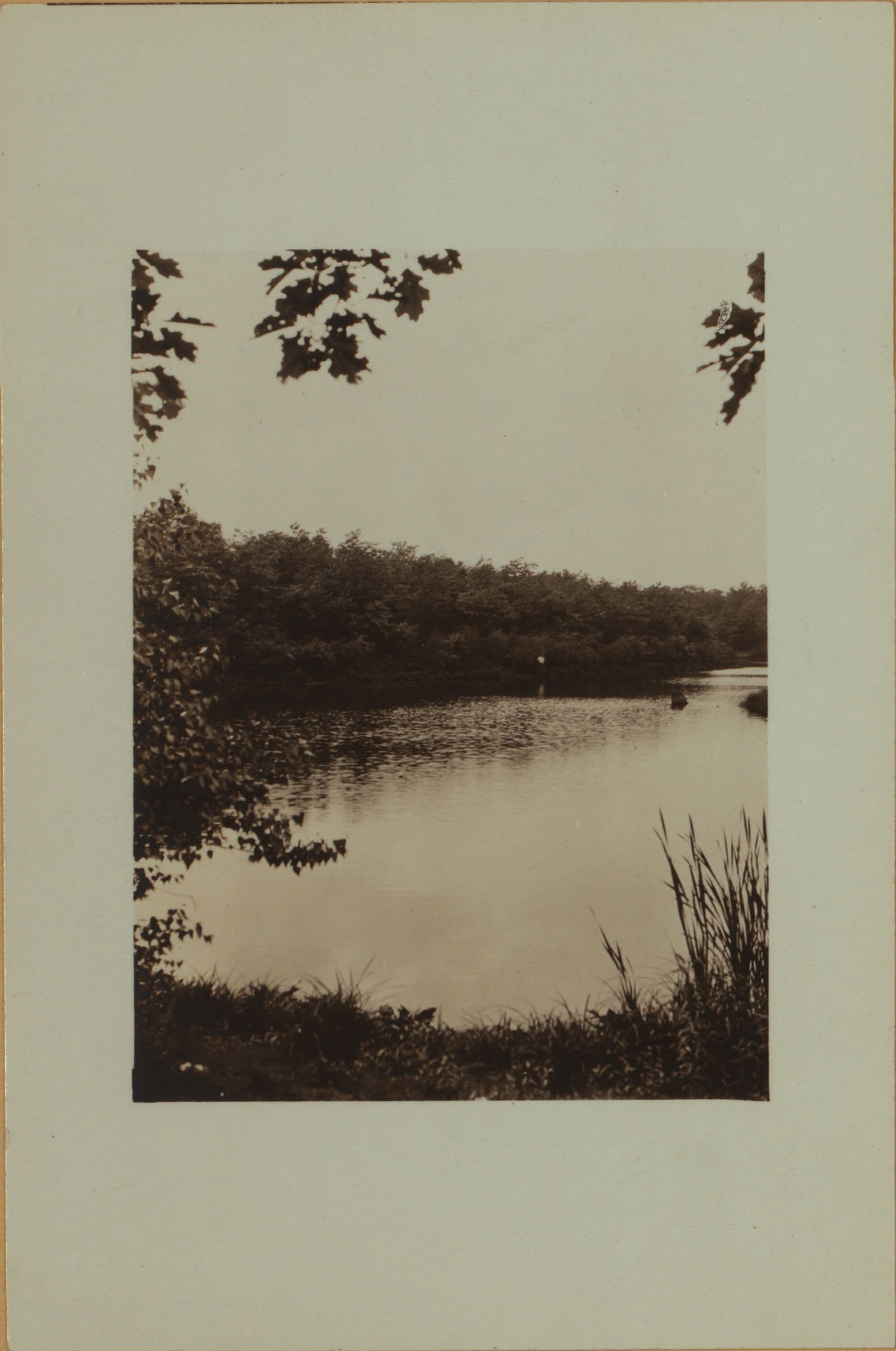 Flagg's pond - Staten Island - [Ernest Flagg property.]