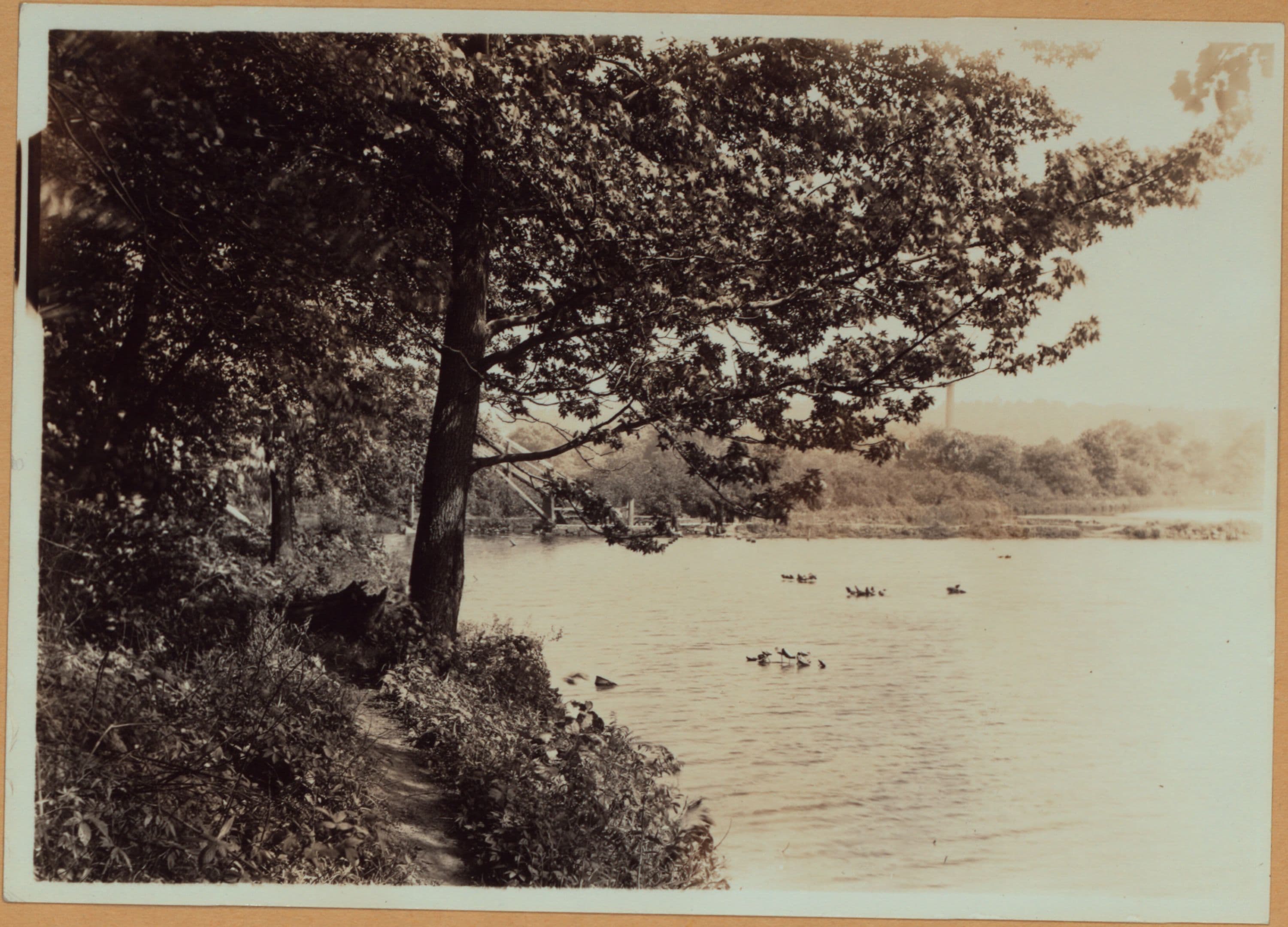 Richmond:] Staten Island - Clove Lakes Park - [Two scenes of Clove Lake., 1910