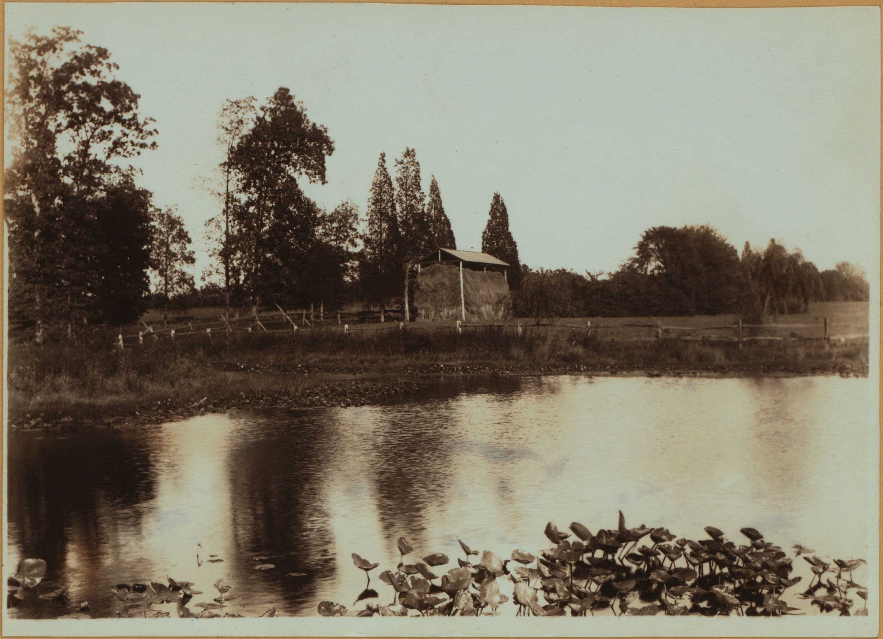 Richmond: Manor Road - Brielle Avenue